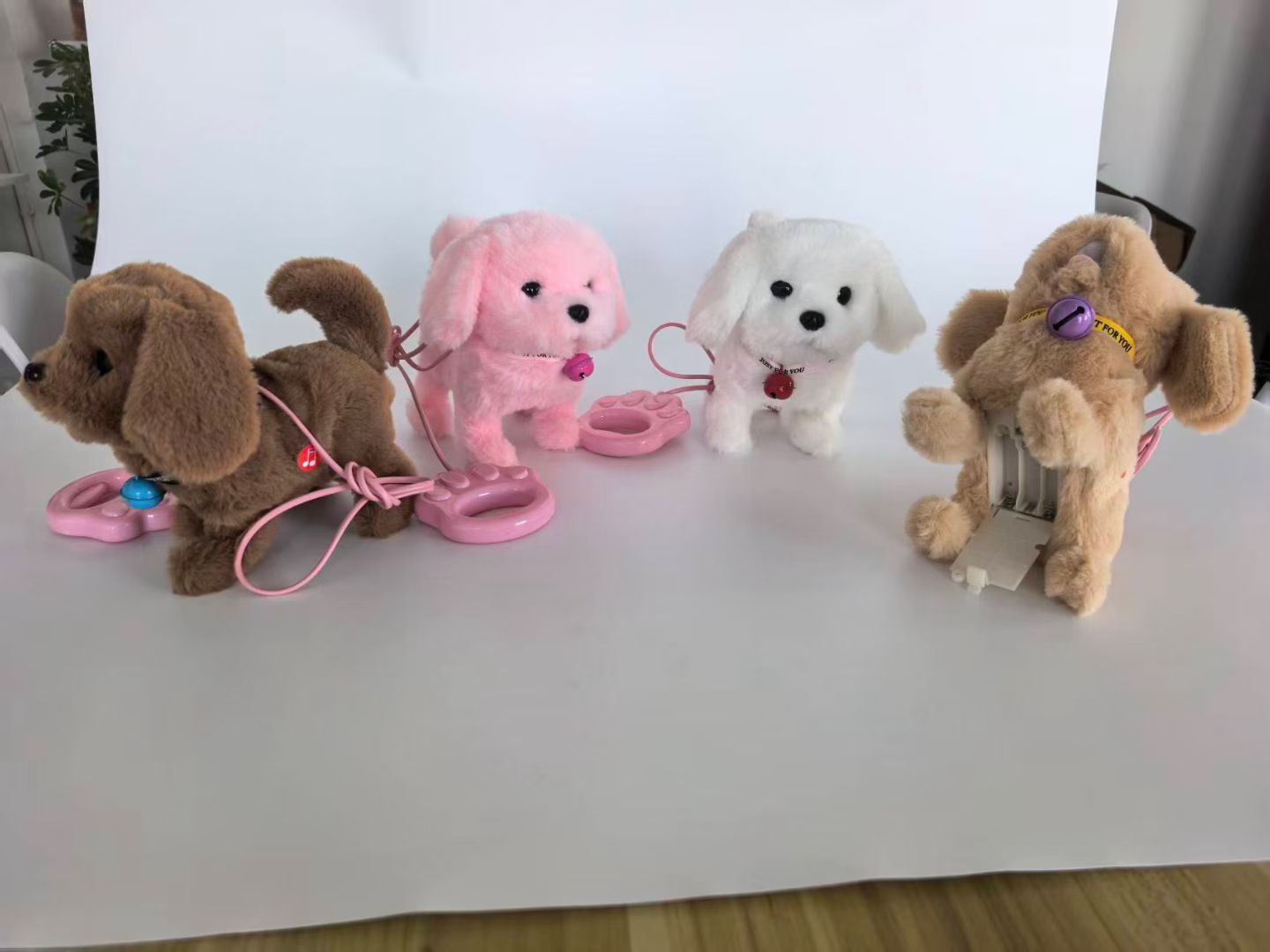 学舌带灯牵绳金毛小狗