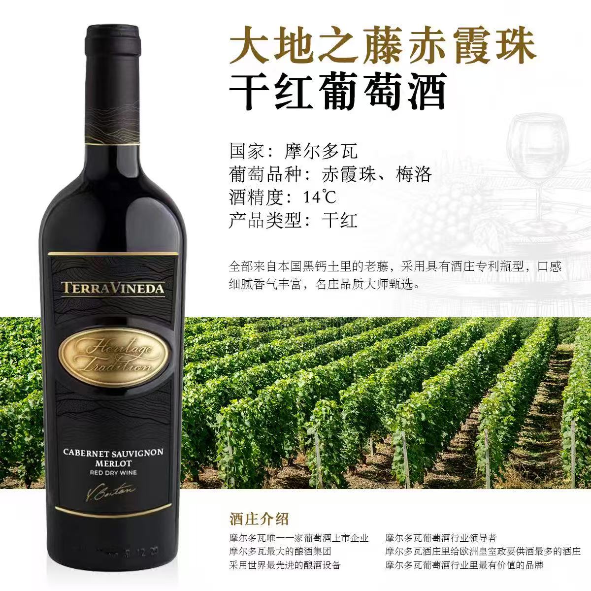 红酒/法国精品葡萄酒馆/奔富干红葡萄酒/吉隆庄/半甜型葡萄酒白底实物图