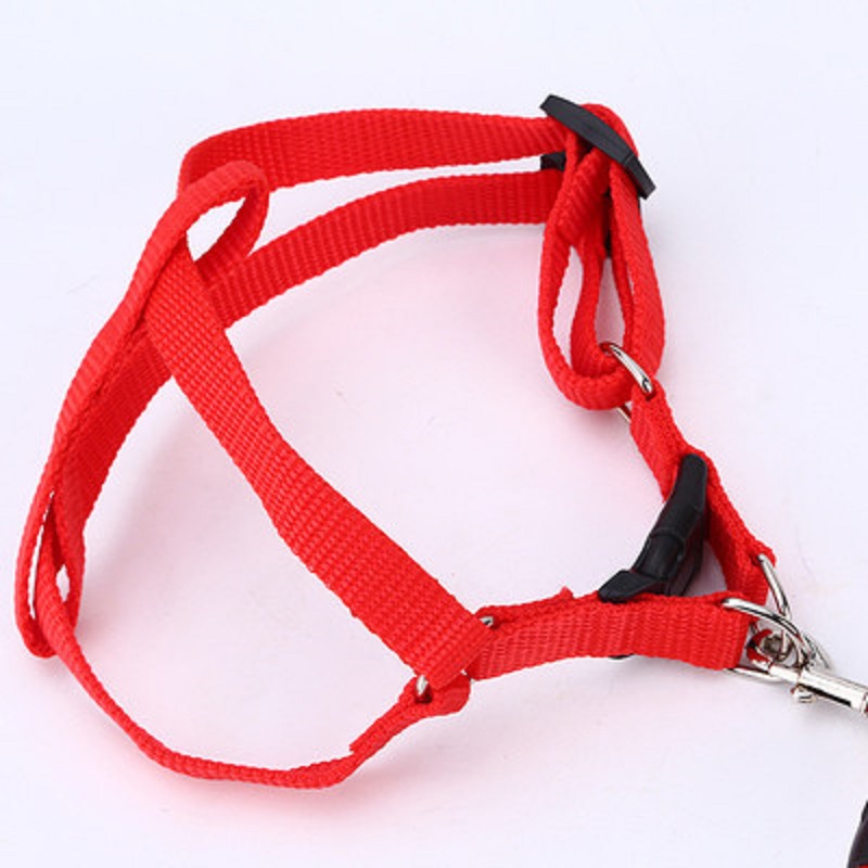狗狗牵引绳轻便防缠绕可调节宠物绳遛狗用品
