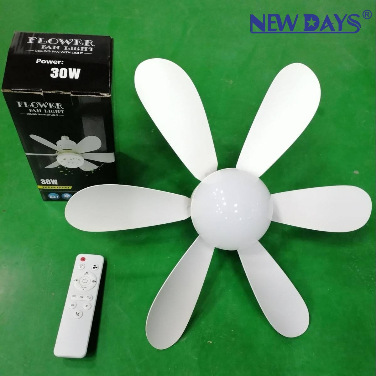 NEWDAYS brand's new cross-border E27 screw-type detachable blade fan lamp with remote control, outdoor and courtyard energy-saving lighting lamp, waterproof and dustproof Application Scenario