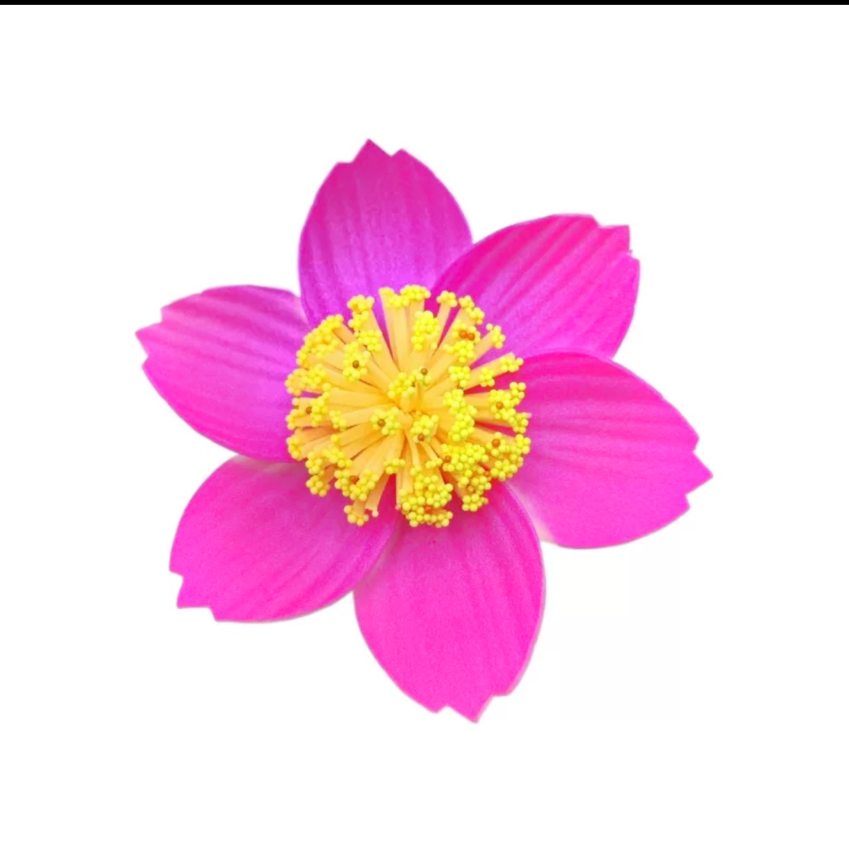 跨境新款仿真芙蓉花直径10厘米芙蓉花发夹海边花朵发饰鸡蛋花扶桑花