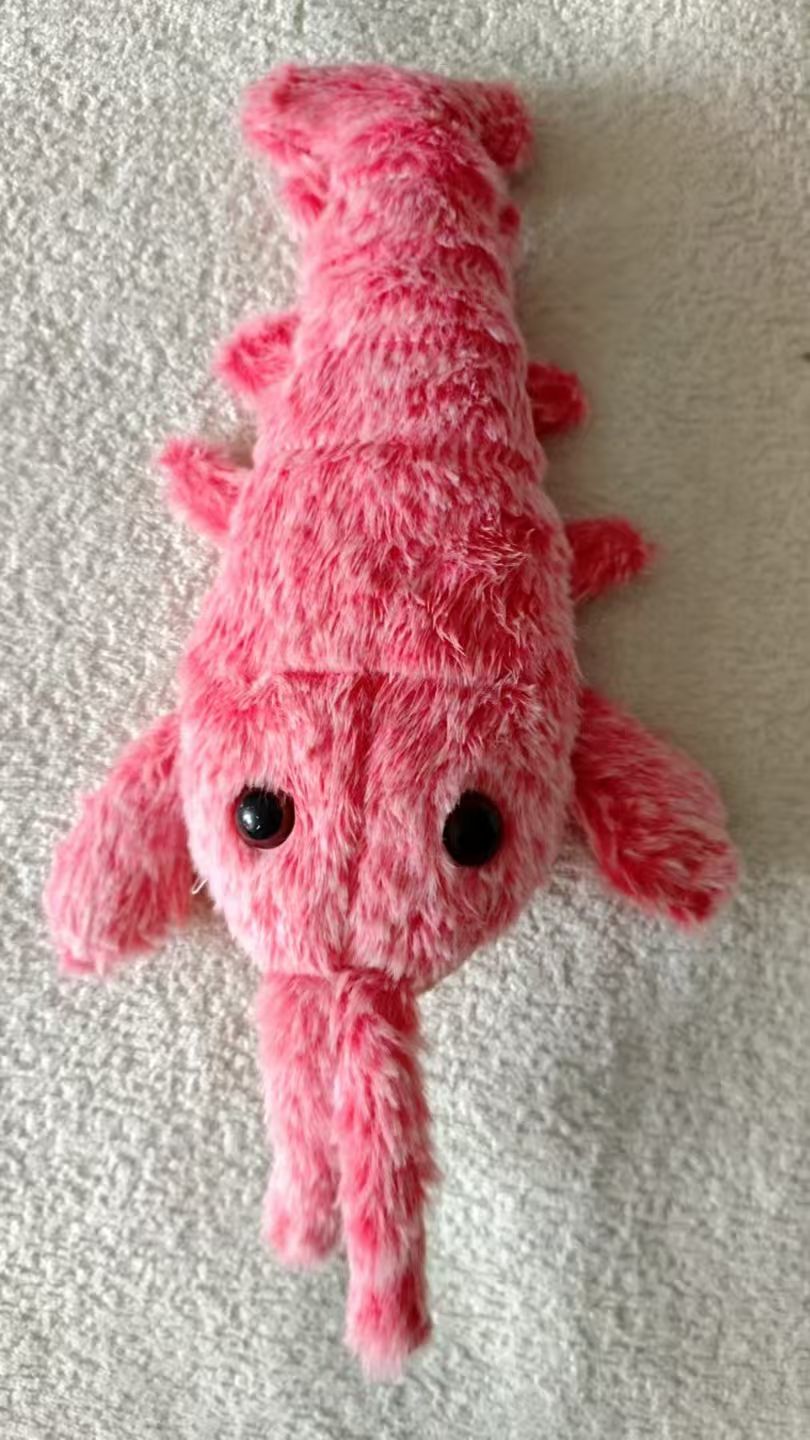 小龙虾网红仿真电动鱼玩具鱼会动的摇摆拍拍鱼婴宝宝哄娃神器白底实物图