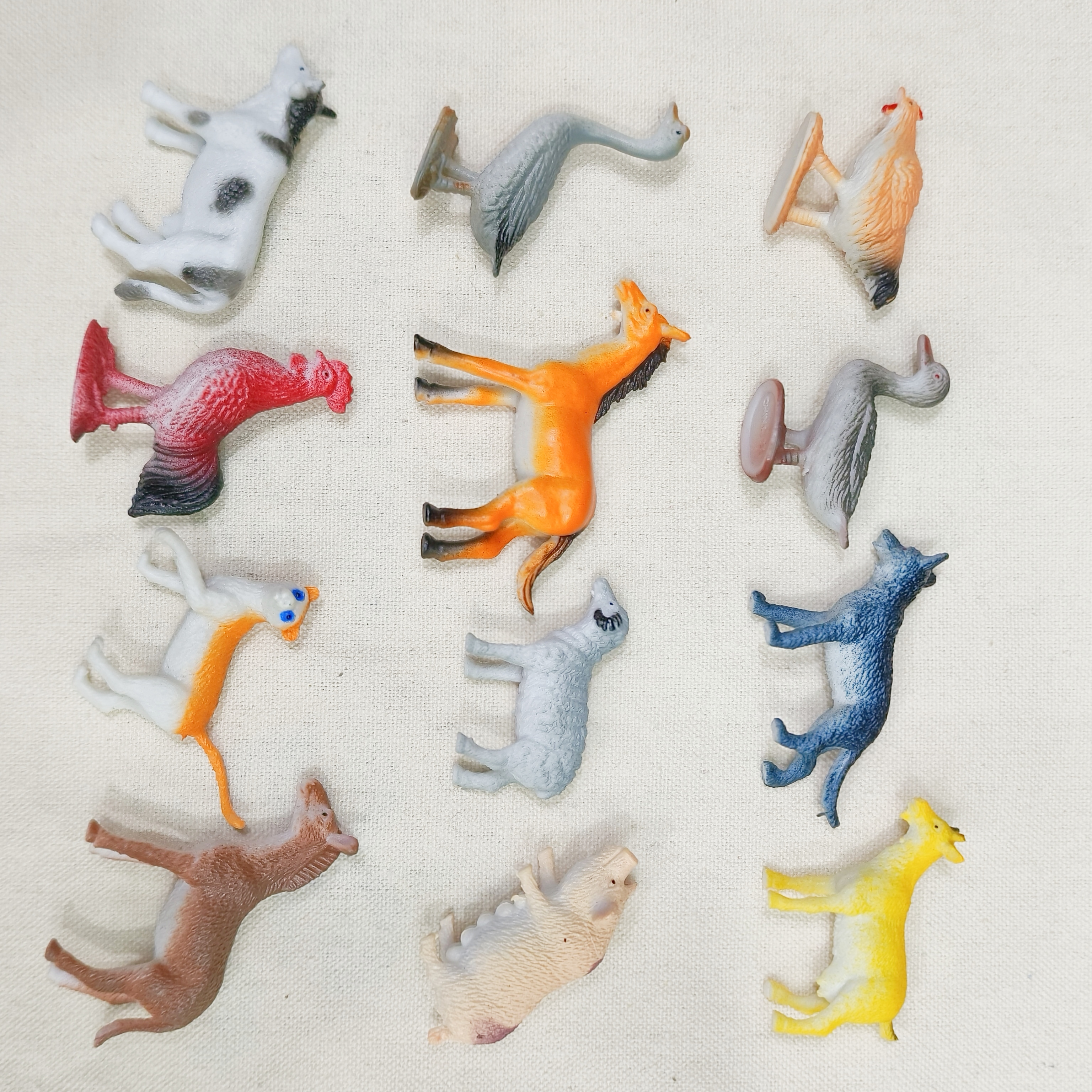 仿真昆虫动物模型玩具爬行动物青蛙蜥蜴壁虎甲虫蝎子臭屁虫蜈蚣蜘蛛蜜蜂秋甲详情图8