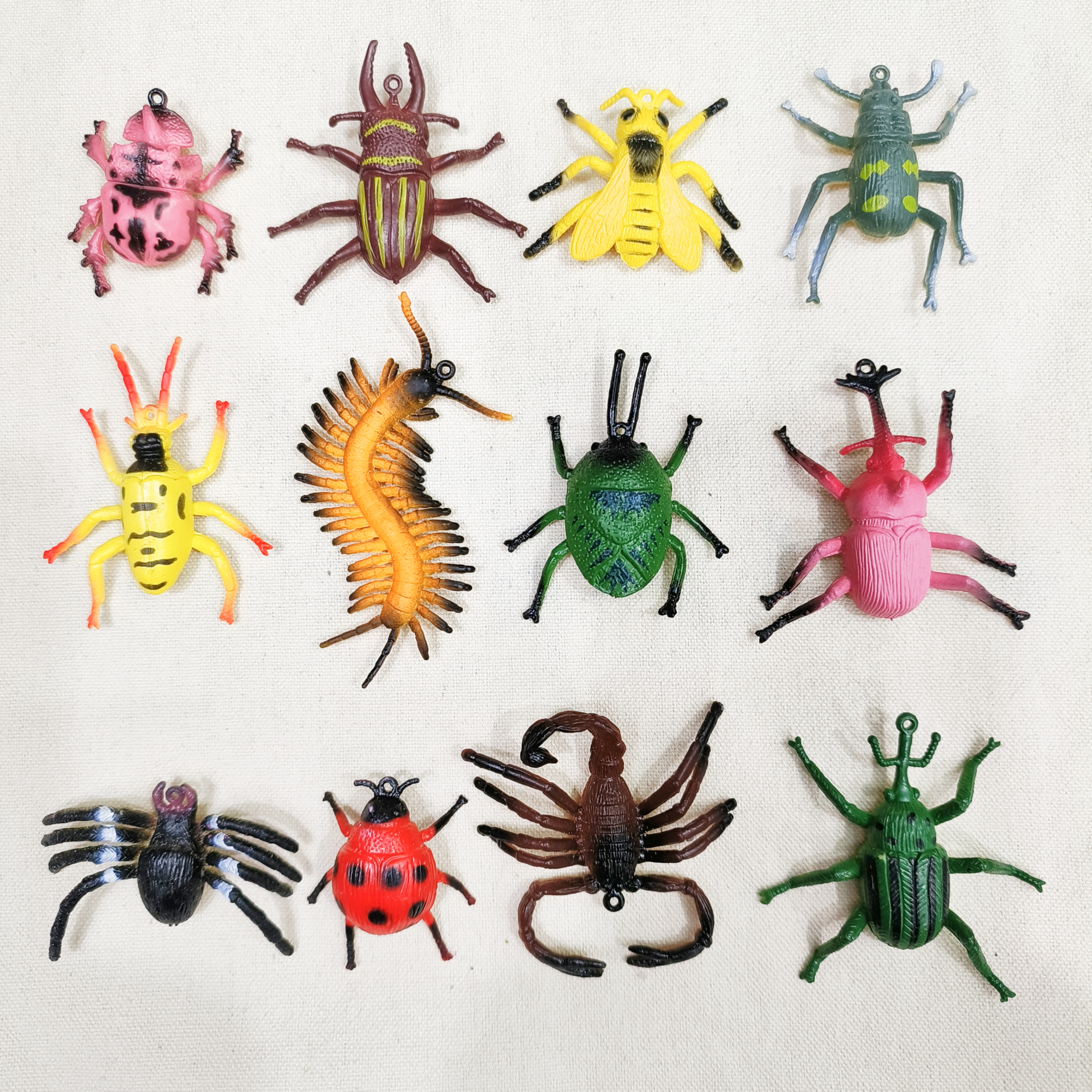 仿真昆虫动物模型玩具爬行动物青蛙蜥蜴壁虎甲虫蝎子臭屁虫蜈蚣蜘蛛蜜蜂秋甲详情图5