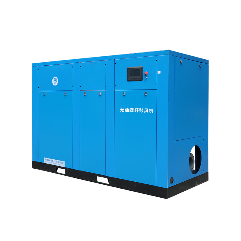 Permanent magnet variable frequency meltblown fabric with W oil screw blower 22/37/45/55/75KW 9.6 cubic meter air compressor 2026 model -1