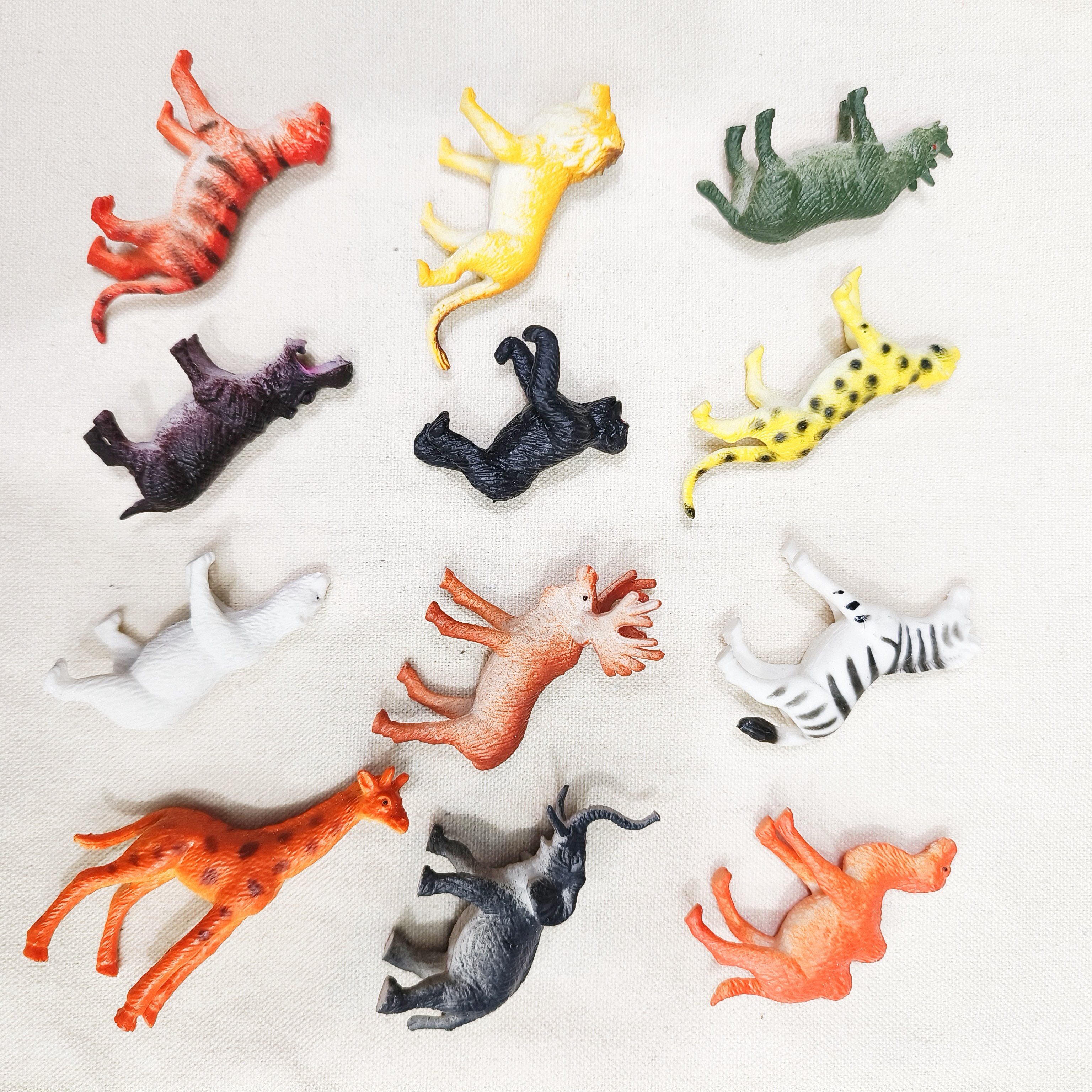 仿真昆虫动物模型玩具爬行动物青蛙蜥蜴壁虎甲虫蝎子臭屁虫蜈蚣蜘蛛蜜蜂秋甲详情图6