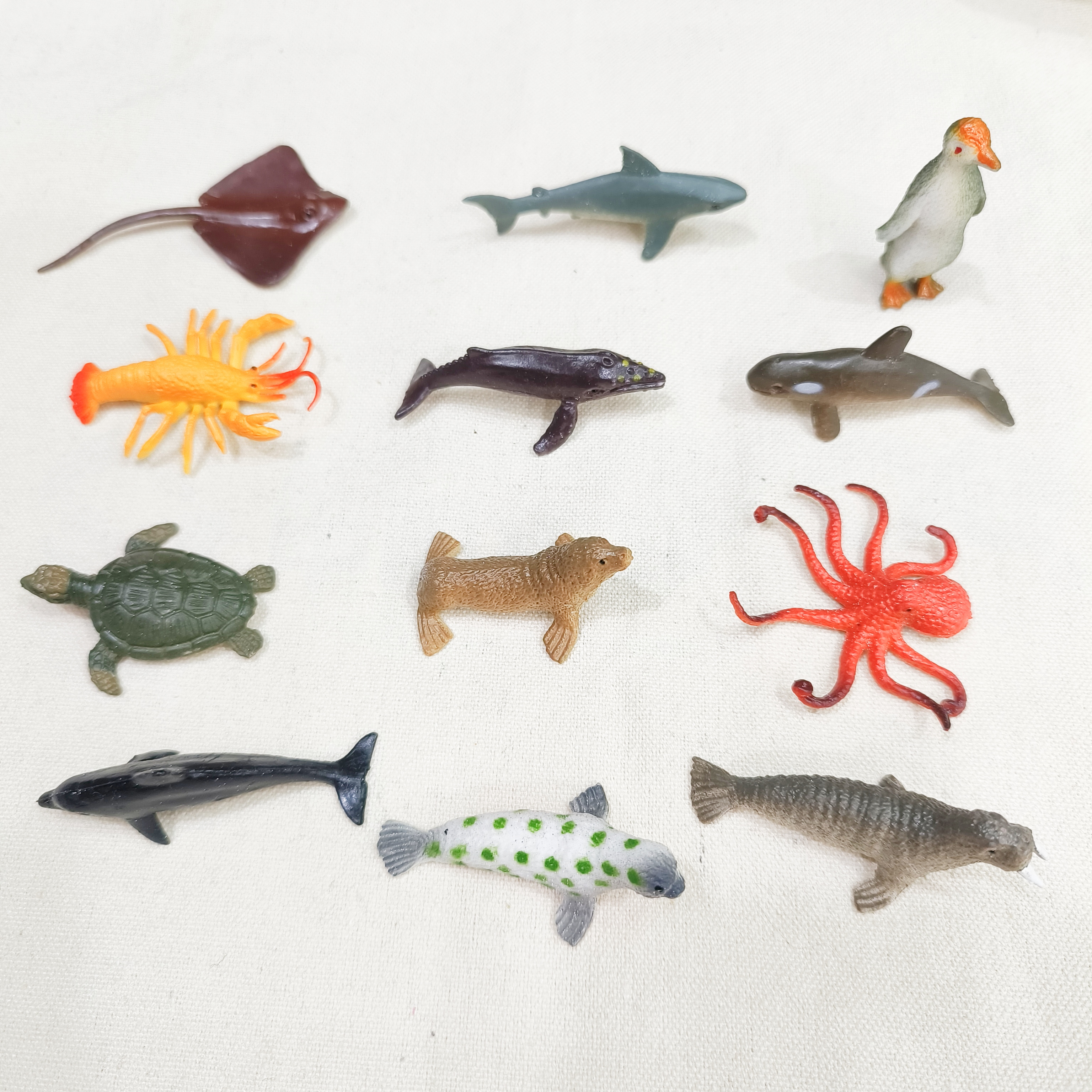 仿真昆虫动物模型玩具爬行动物青蛙蜥蜴壁虎甲虫蝎子臭屁虫蜈蚣蜘蛛蜜蜂秋甲详情图3