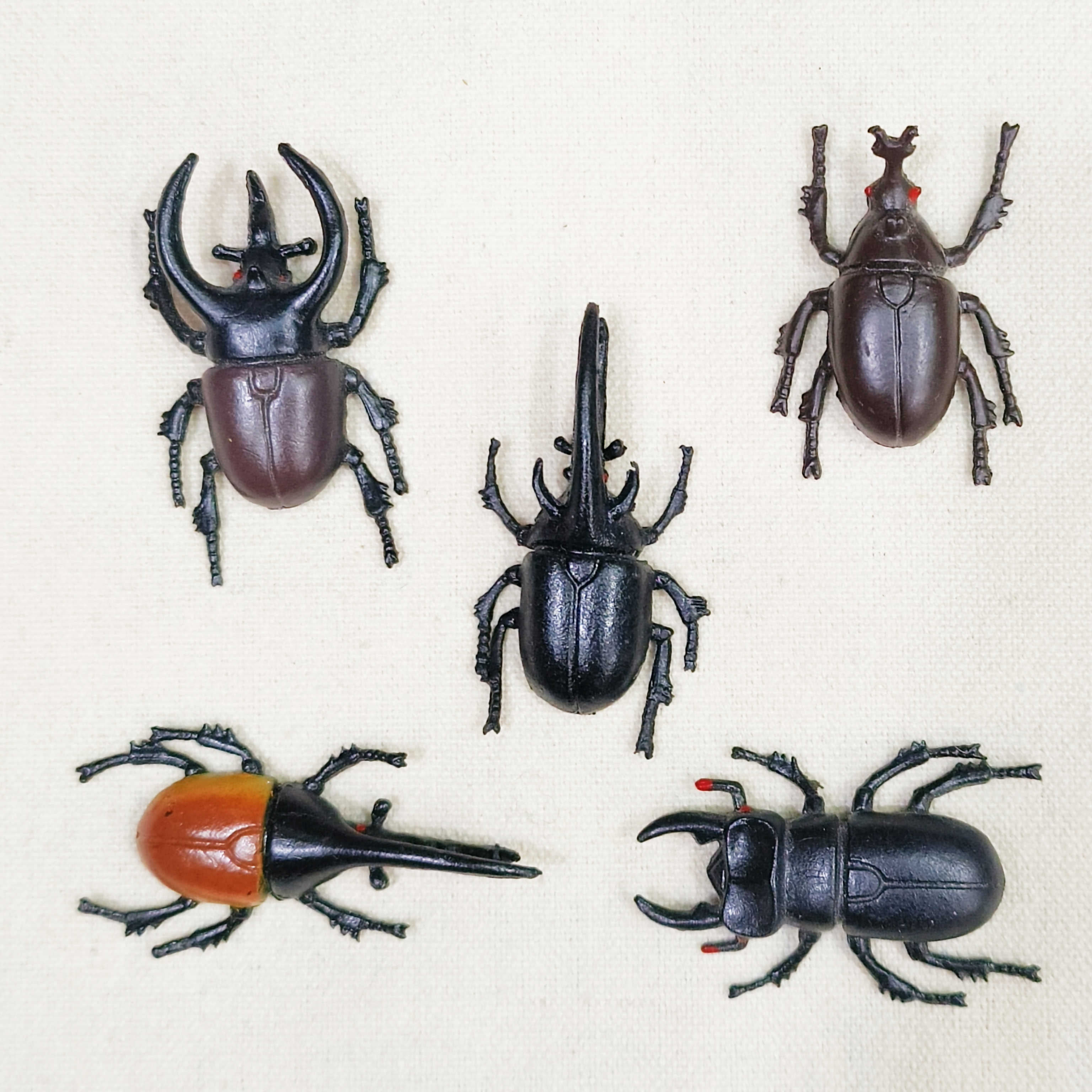 仿真昆虫动物模型玩具爬行动物青蛙蜥蜴壁虎甲虫蝎子臭屁虫蜈蚣蜘蛛蜜蜂秋甲细节图