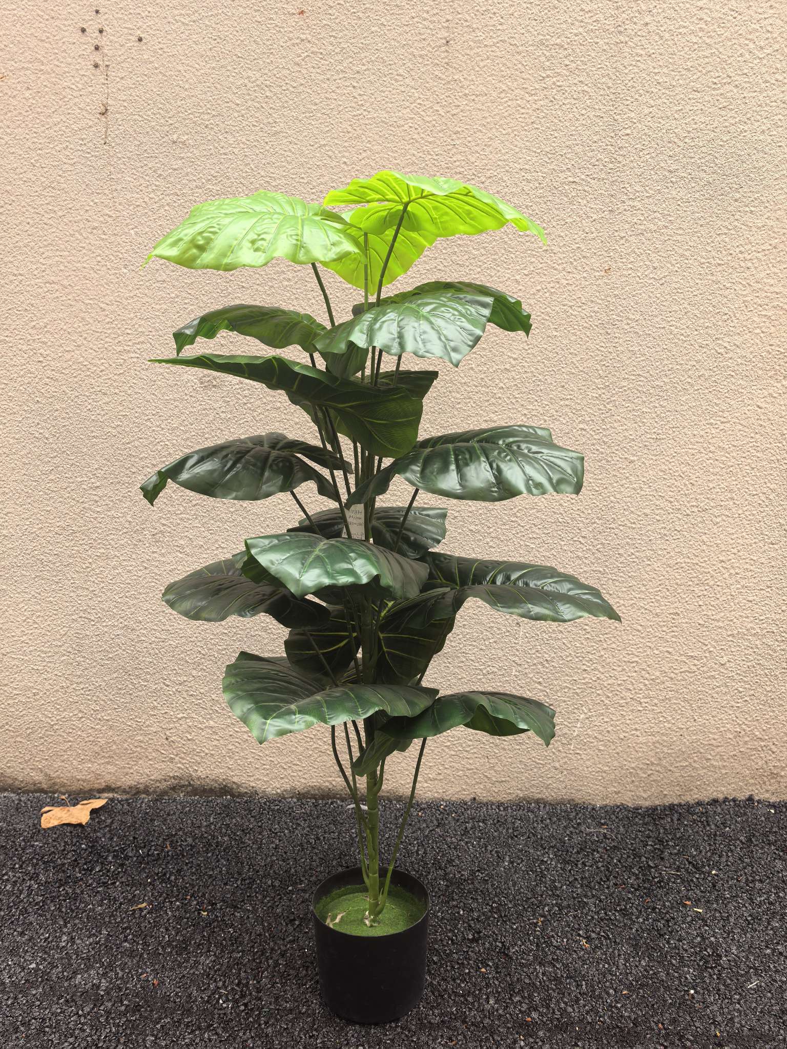 仿真植物，家居装饰，庭院酒店