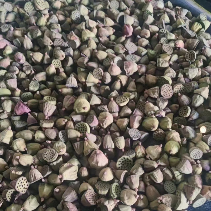 Natural plant dried fruits, dried flowers, preserved flowers, pistachios, dried flowers, pressed dried flowers, natural dried flower products, photo accessories Specification image