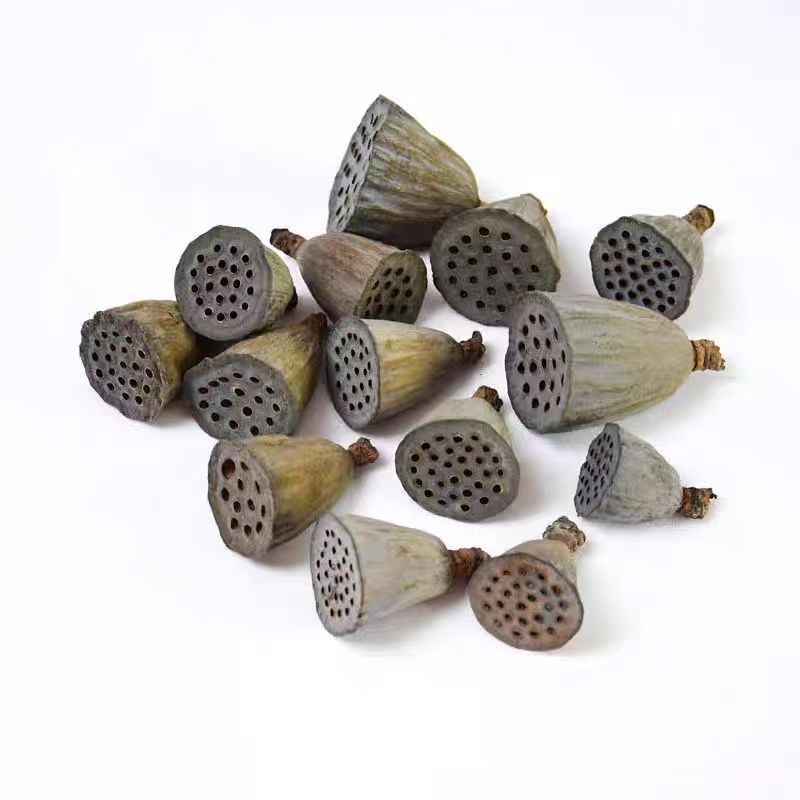 Natural plant dried fruits, dried flowers, preserved flowers, pistachios, dried flowers, pressed dried flowers, natural dried flower products, photo accessories pic 3