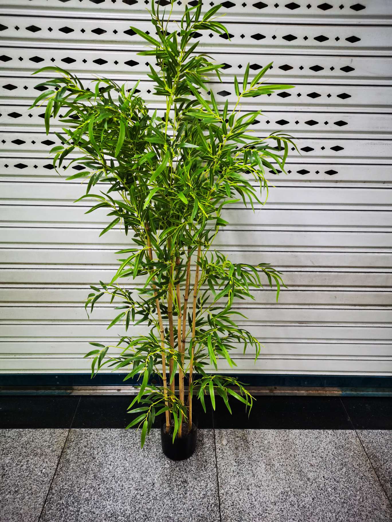 竹编花篮植物工艺品礼品罐头郁金香扭扭棒生态瓶苔藓