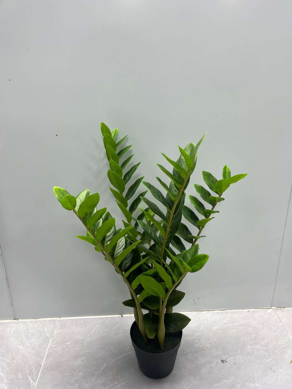 仿真植物假花金钱叶小摆件