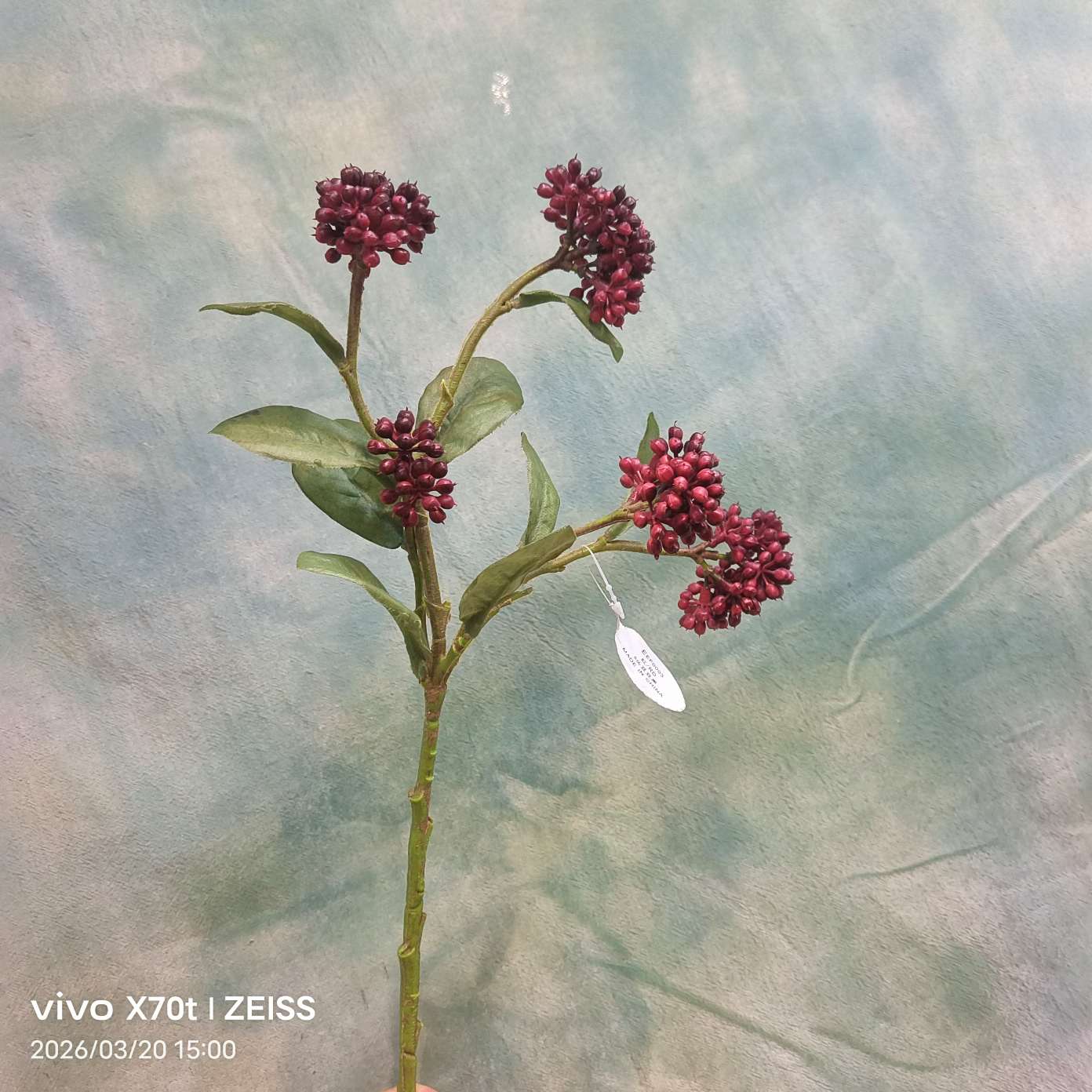Simulación pétalos regalo diseño extranjero simulación flor clara flor falsa pequeña 15cm