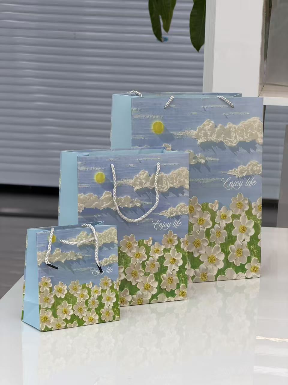 礼品袋/防潮袋/纸袋/制作米袋/礼品袋少女时尚产品图