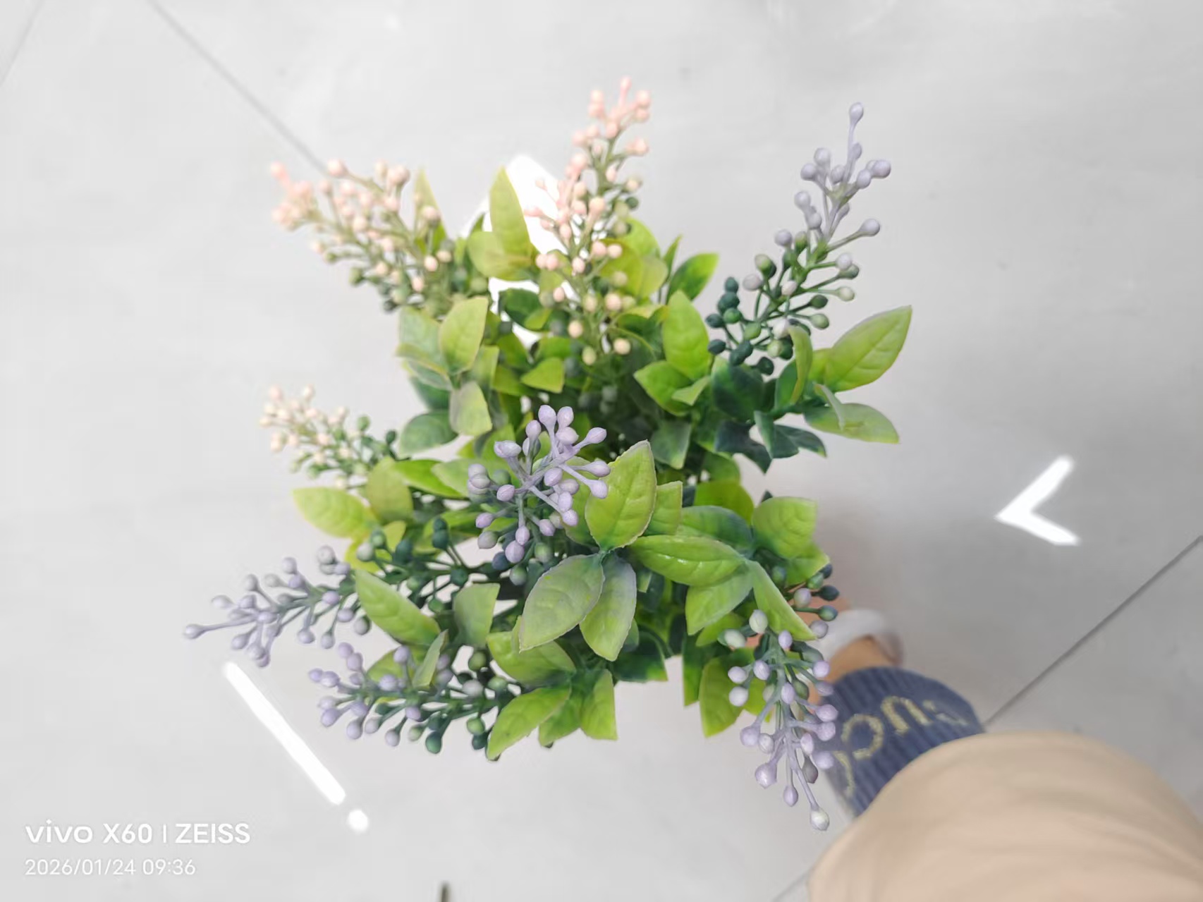 批发仿真花串花藤吊多肉盆栽植物人造花塑料花5叉19头喷色塑料水草绿植DIY植物墙装饰现货补柜