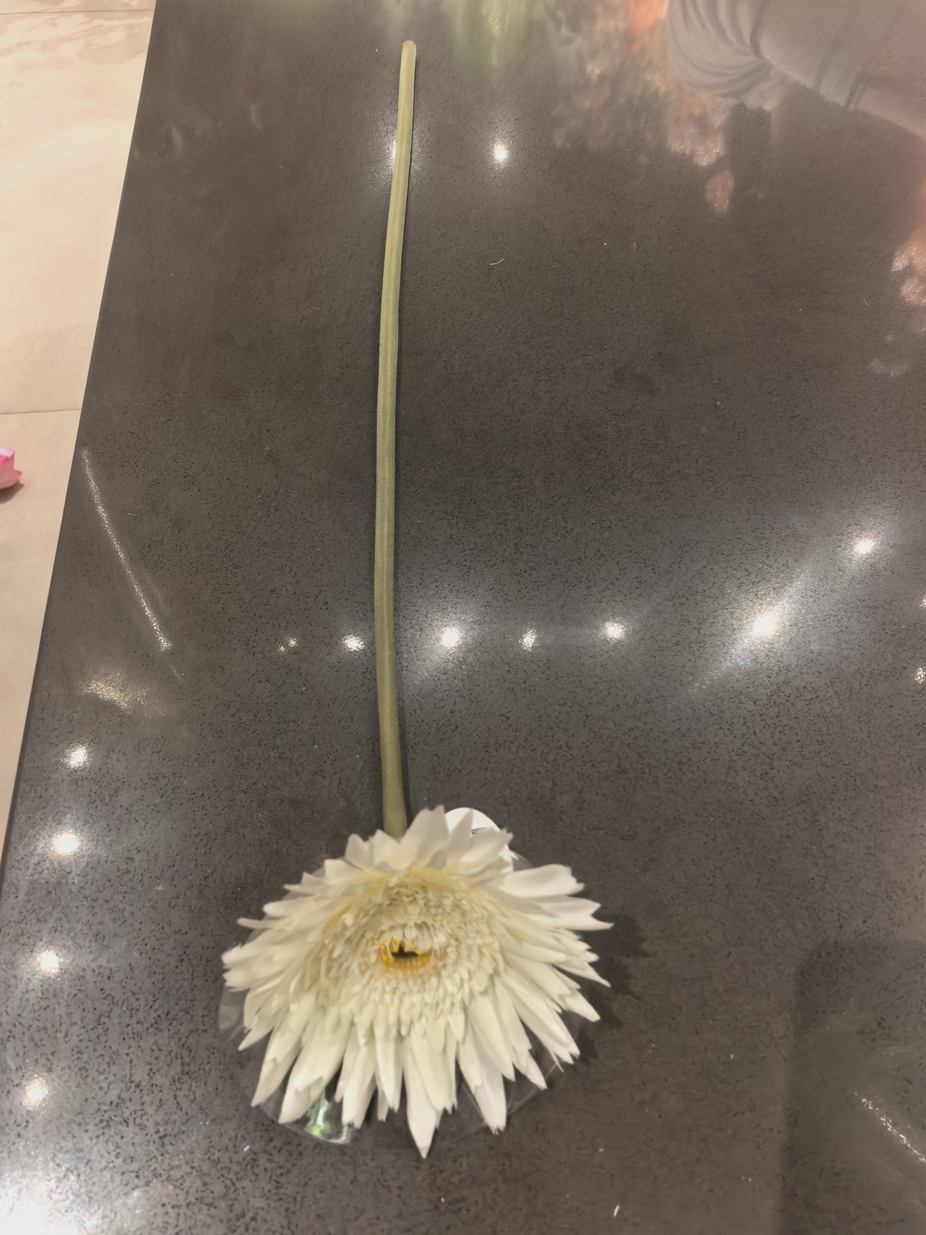 工艺品园林婚庆假花仿真花
