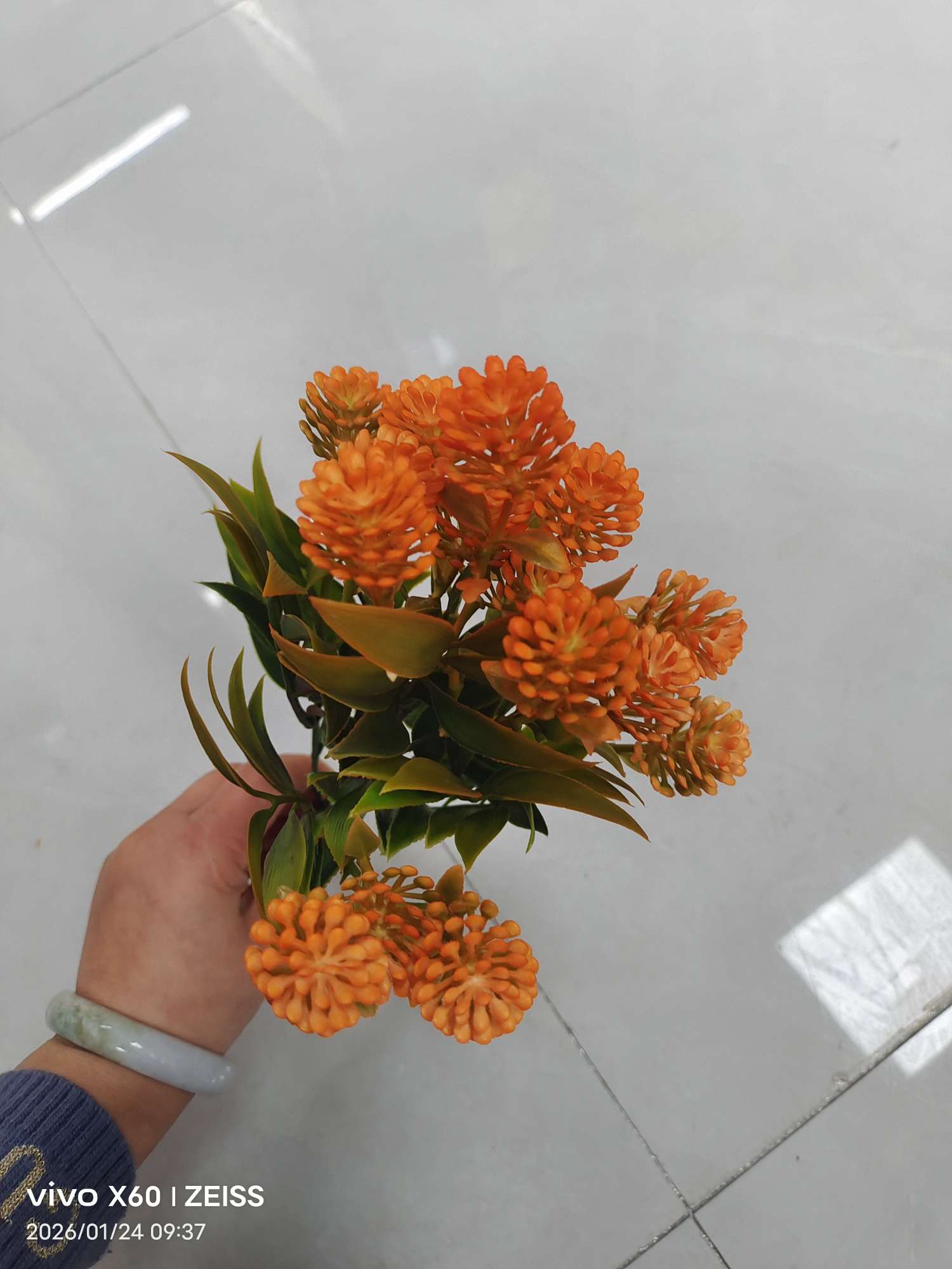Wholesale simulated 5-fork spray-colored water plants, plastic artificial flower plant walls, DIY decoration techniques, simulated green plants, water plants, simulated green plants detail image 5