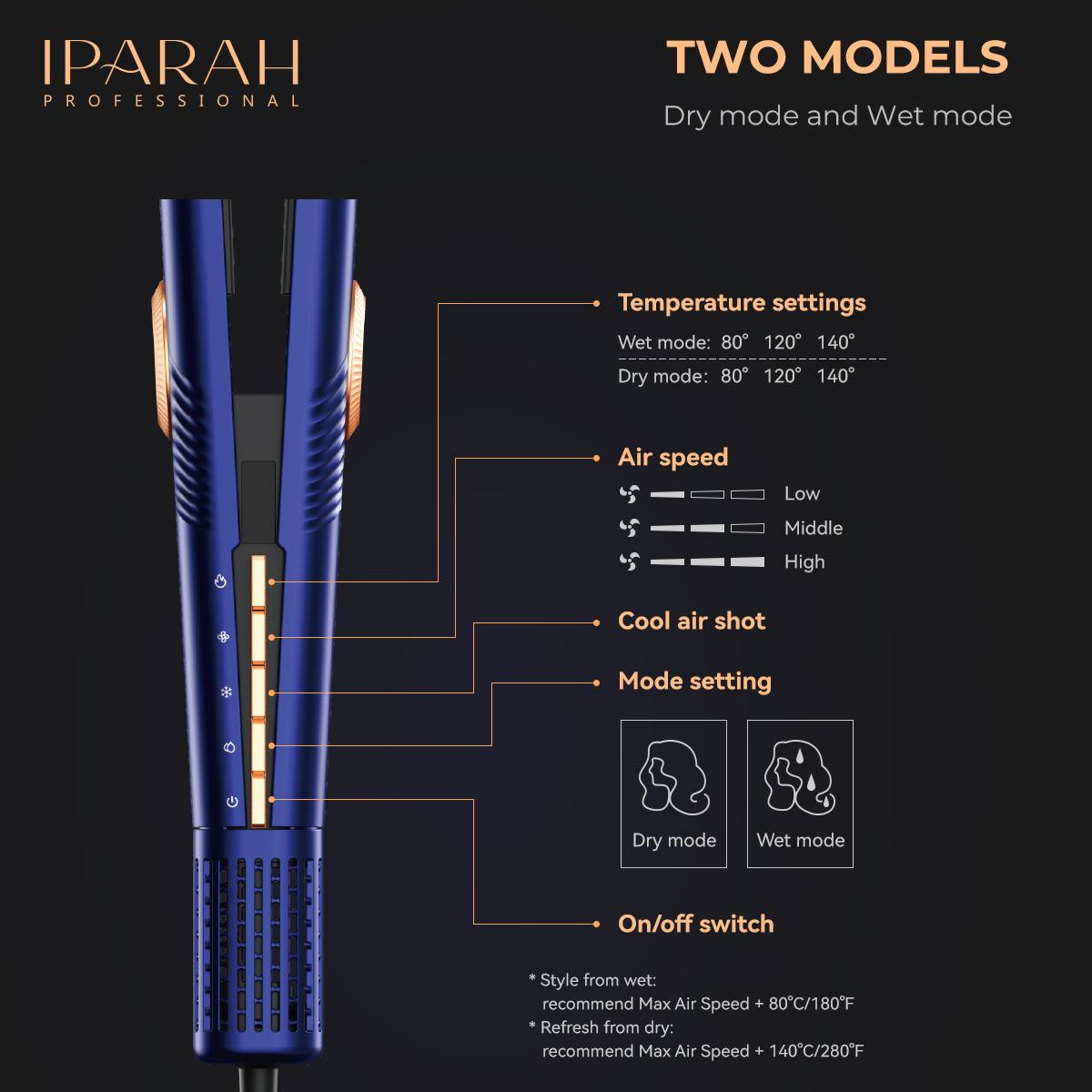 IPARAH Wet 2 Straight &Dryer Hair Straightening and Styling Magic tool P-098 details Picture