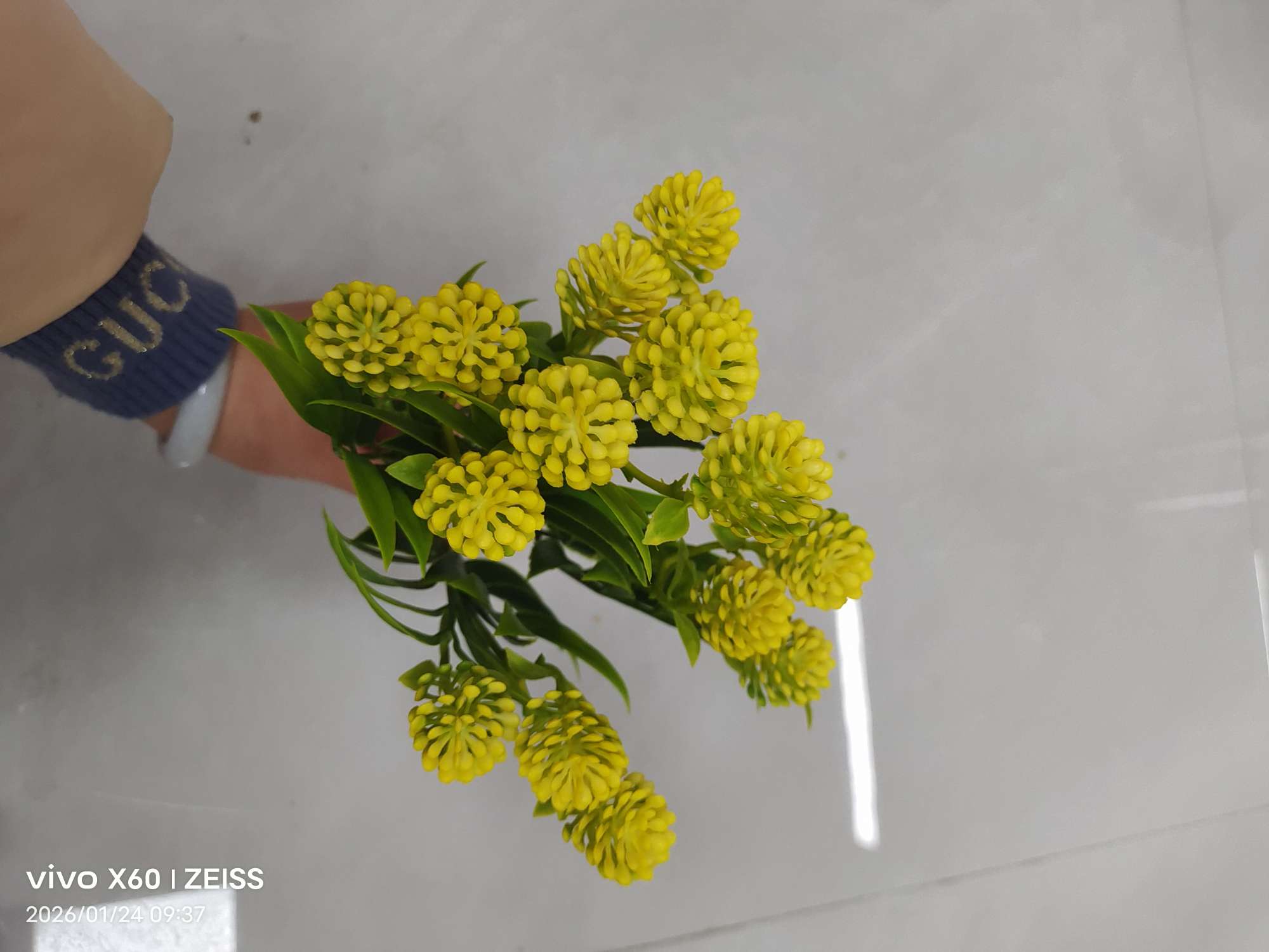 Wholesale simulated 5-fork spray-colored water plants, plastic artificial flower plant walls, DIY decoration techniques, simulated green plants, water plants, simulated green plants Specification image