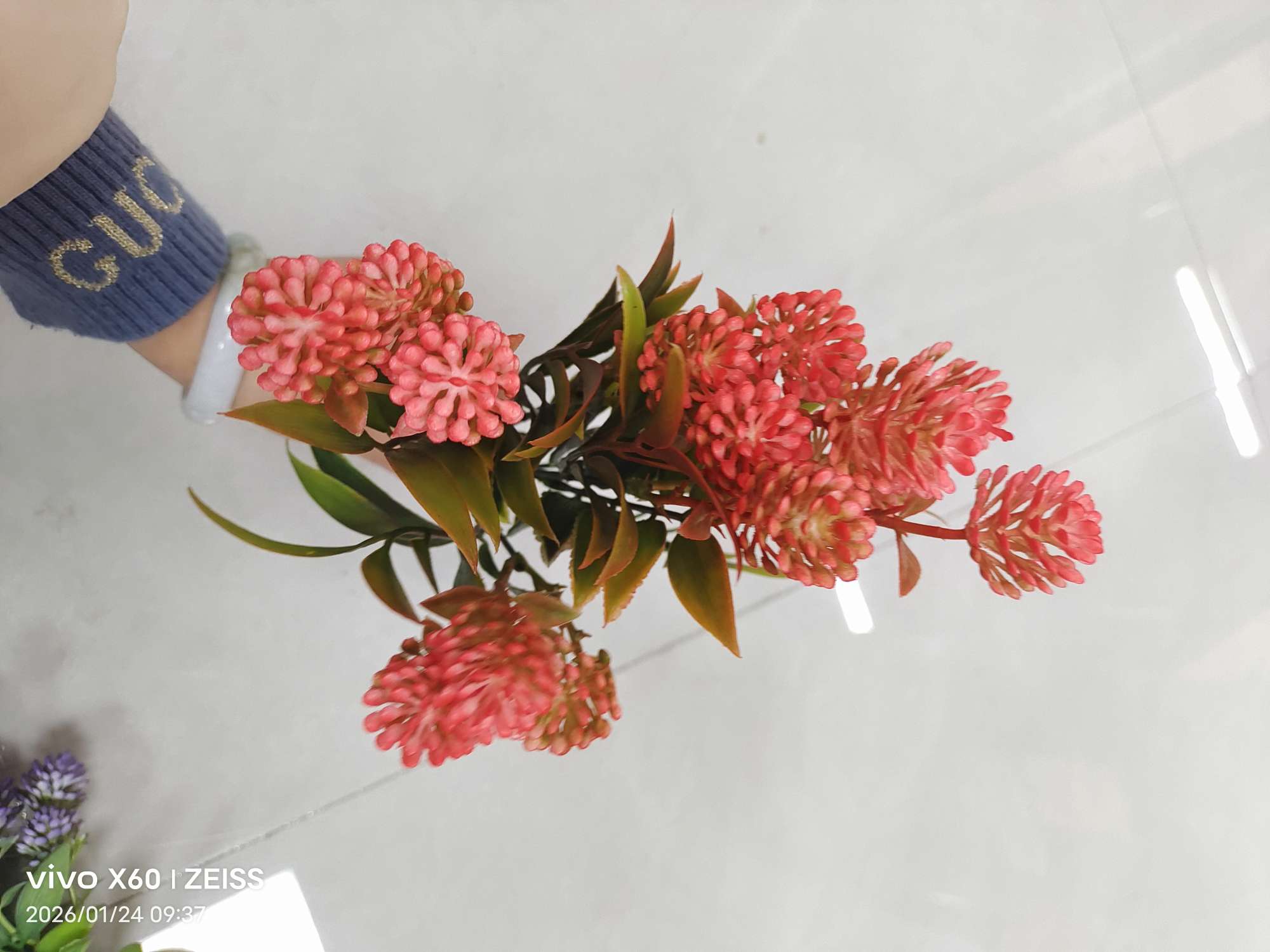 Wholesale simulated 5-fork spray-colored water plants, plastic artificial flower plant walls, DIY decoration techniques, simulated green plants, water plants, simulated green plants detail image 8