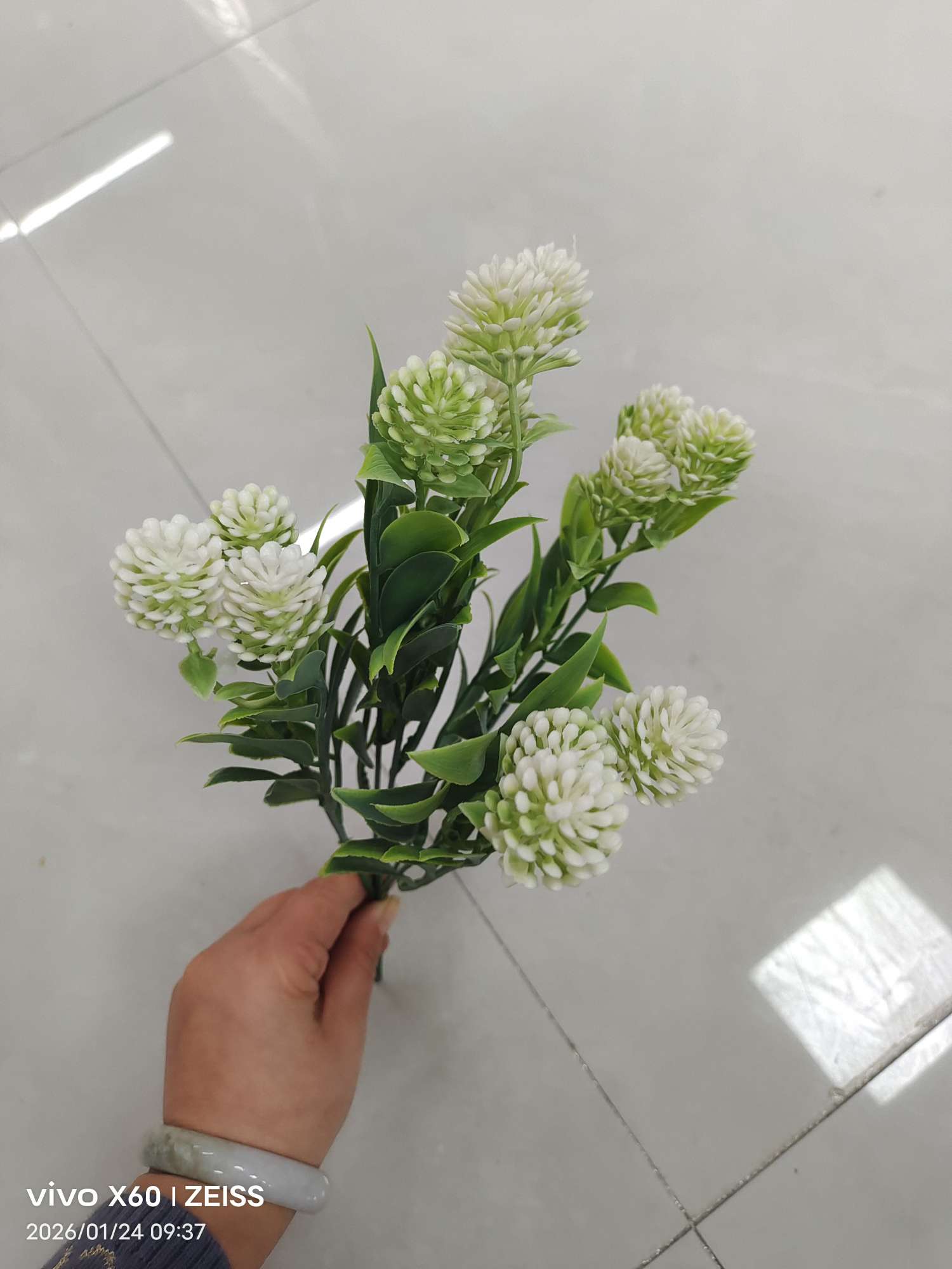 Wholesale simulated 5-fork spray-colored water plants, plastic artificial flower plant walls, DIY decoration techniques, simulated green plants, water plants, simulated green plants Item Picture