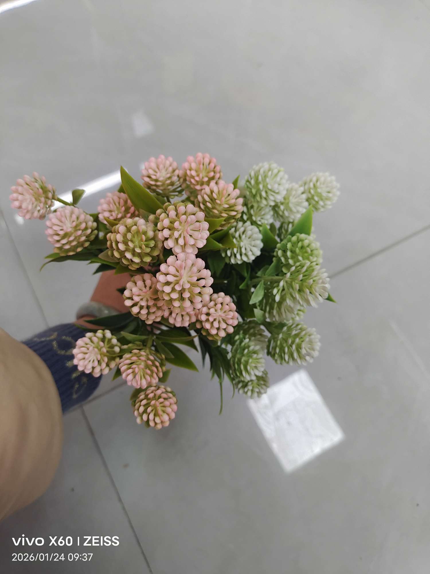Wholesale simulated 5-fork spray-colored water plants, plastic artificial flower plant walls, DIY decoration techniques, simulated green plants, water plants, simulated green plants detail image 3