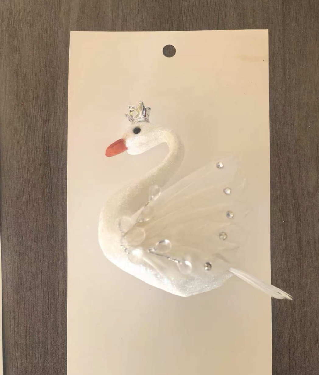 蕨类植物实物图