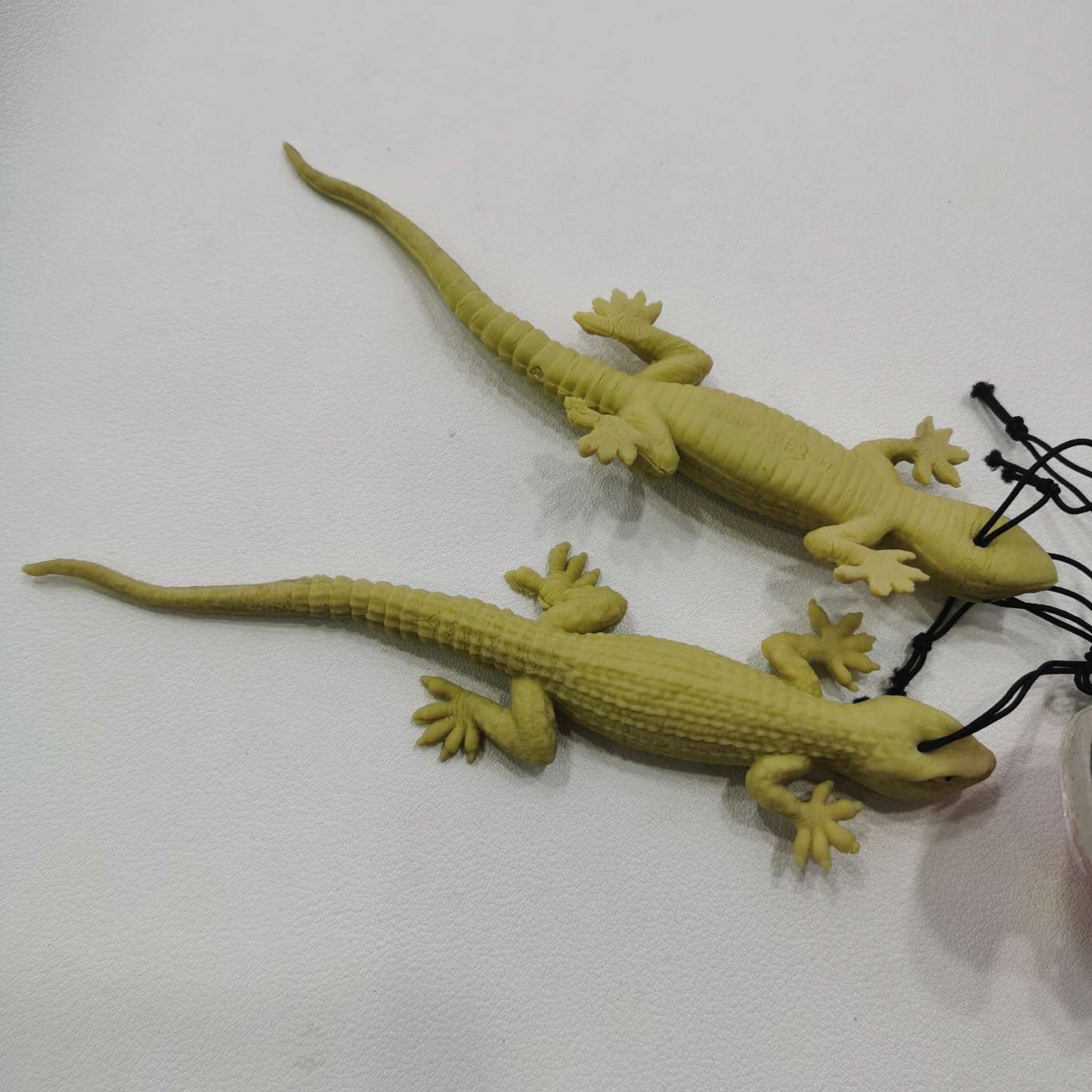 动植物/仿真模型实物图