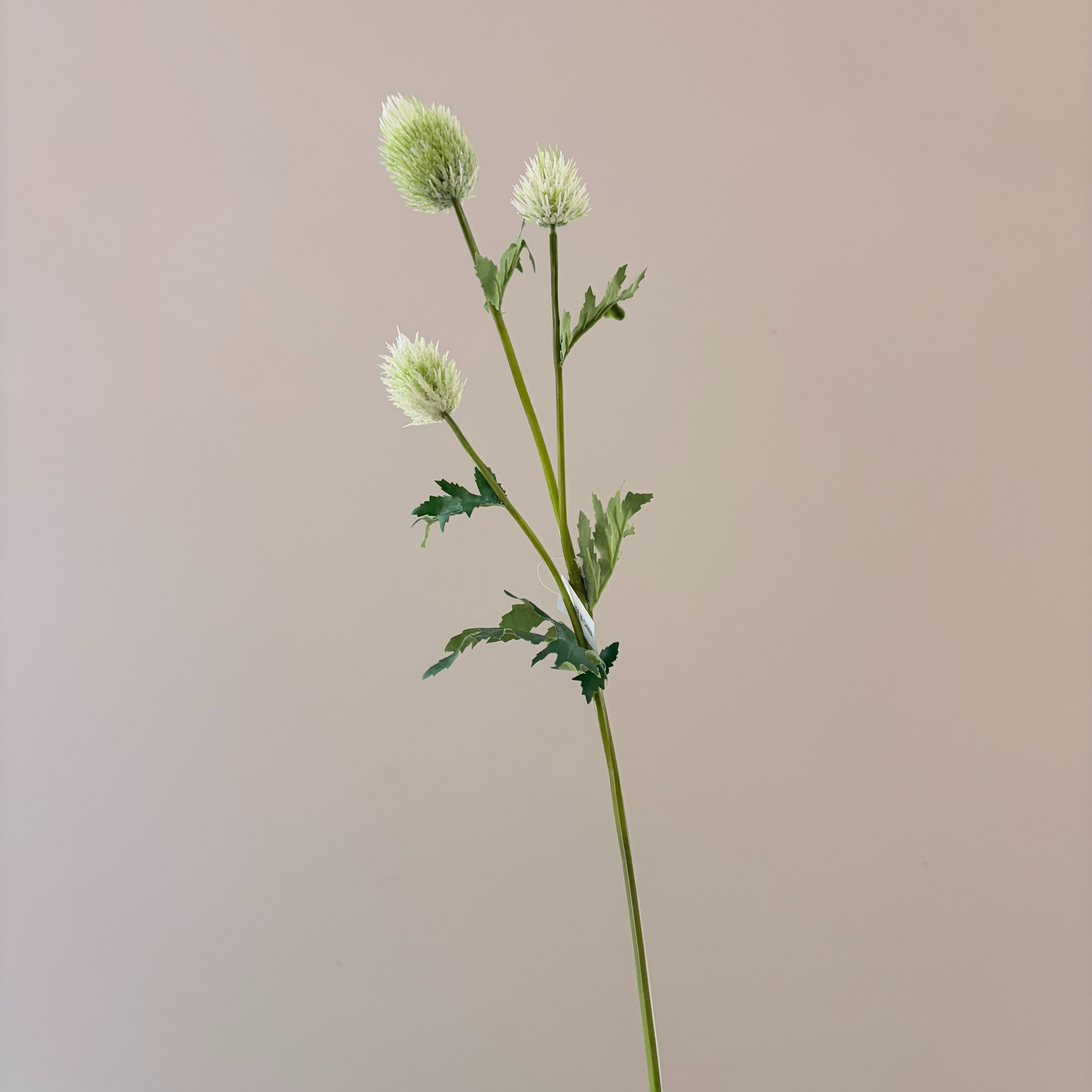 Cardo de simulación flor flor falsa flor artificial hogar artesanía hotel boda al por mayor de alta gama flor de simulación flor de tela de seda inserción de cardo con flores falsas adecuado para la decoración del dormitorio del hogar pic 5