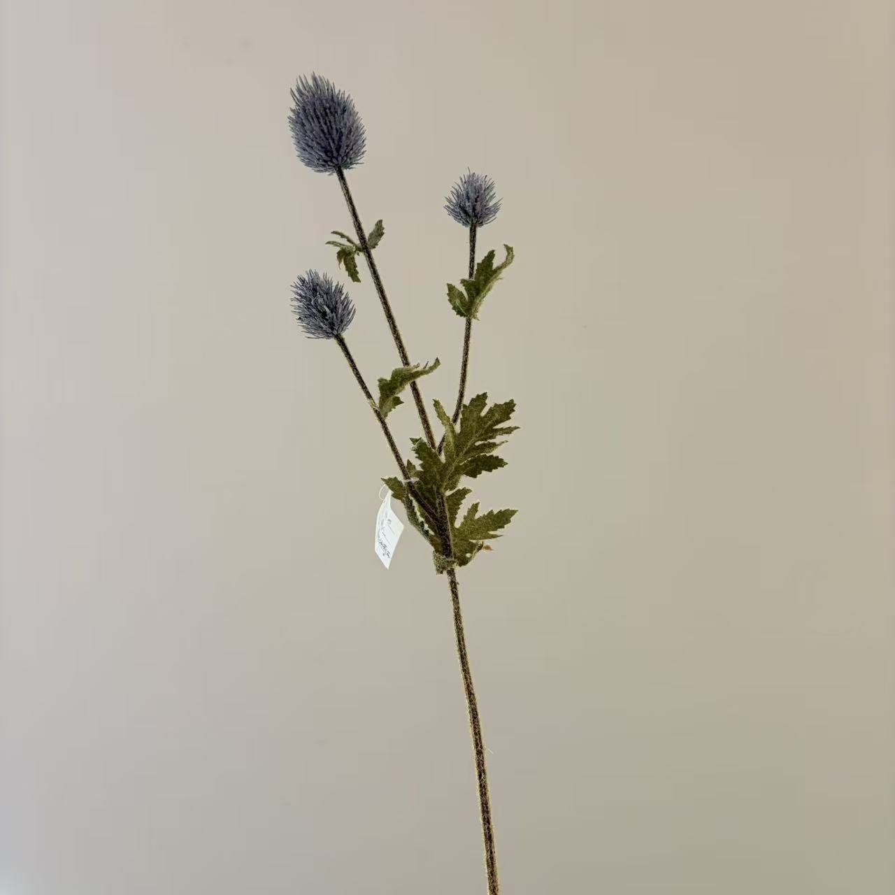 Cardo de simulación flor flor falsa flor artificial hogar artesanía hotel boda al por mayor de alta gama flor de simulación flor de tela de seda inserción de cardo con flores falsas adecuado para la decoración del dormitorio del hogar pic 9