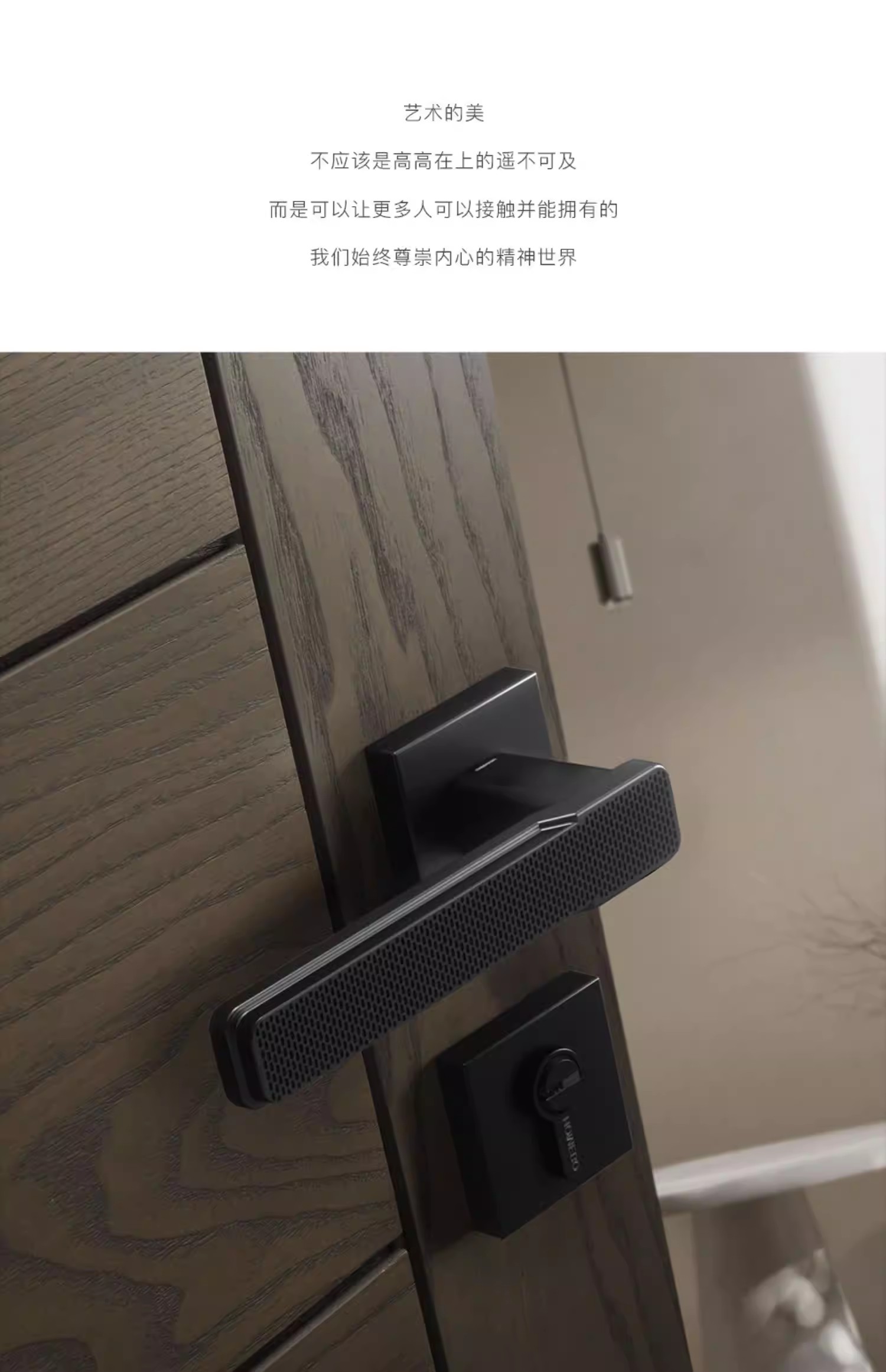 Haobao black door lock, indoor bedroom magnetic silent bathroom solid wood door handle, simple home door lock pic 6