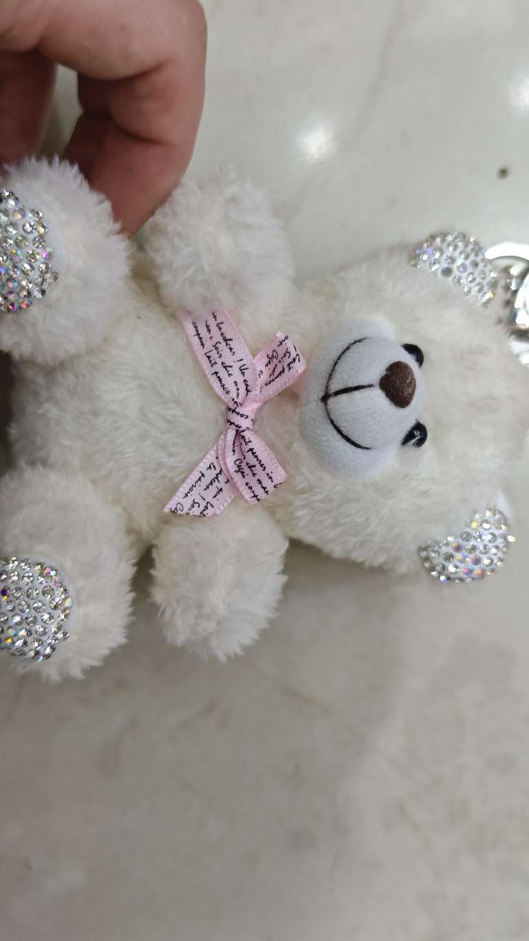 点钻棕熊毛绒公仔挂件毛绒玩具批发毛绒玩具细节图