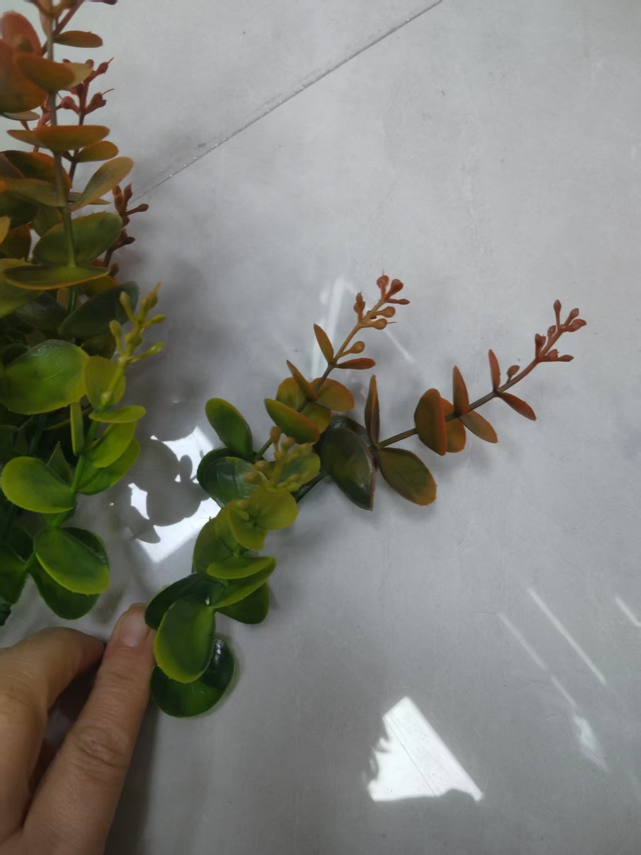 仿真植物实物图