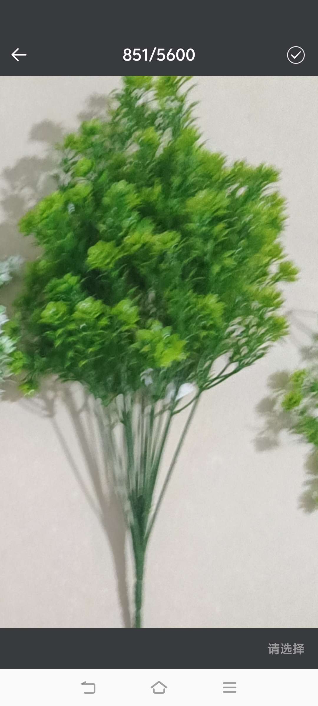 18头仿真水草仿真花