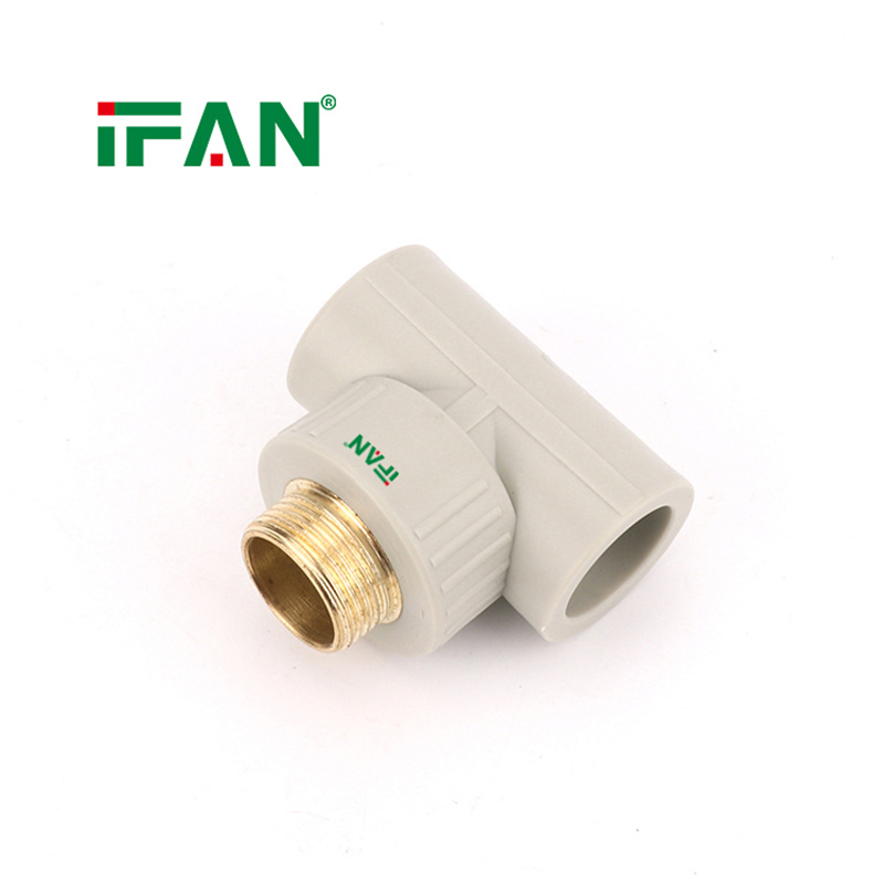IFAN PPR Plumbing Elbow Valve Reducer PPR Pipe Fittings Item Picture