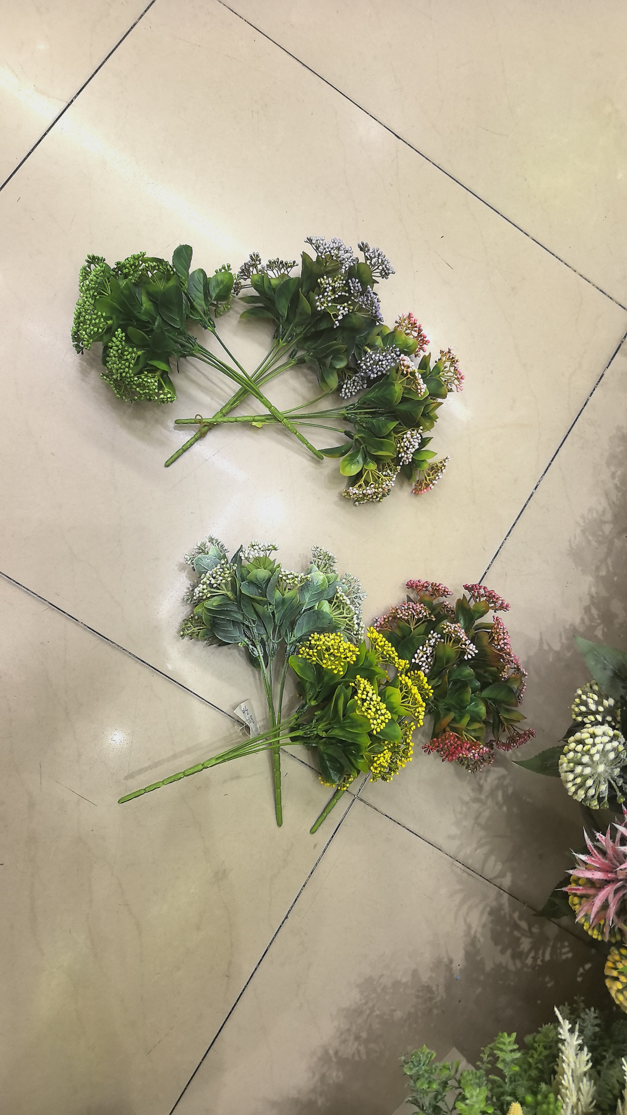 水草植物