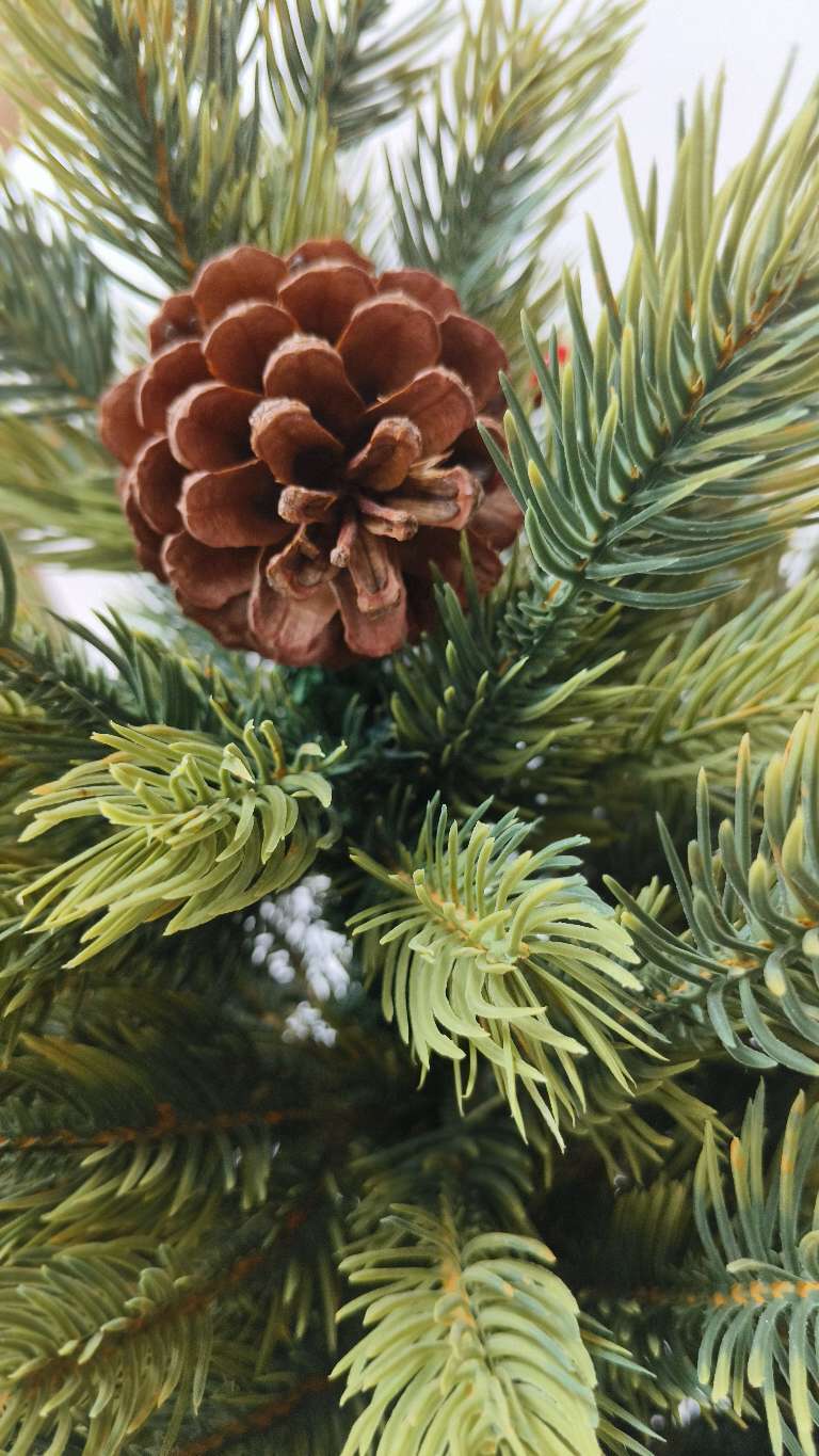 圣诞树节日装饰品仿真树细节图