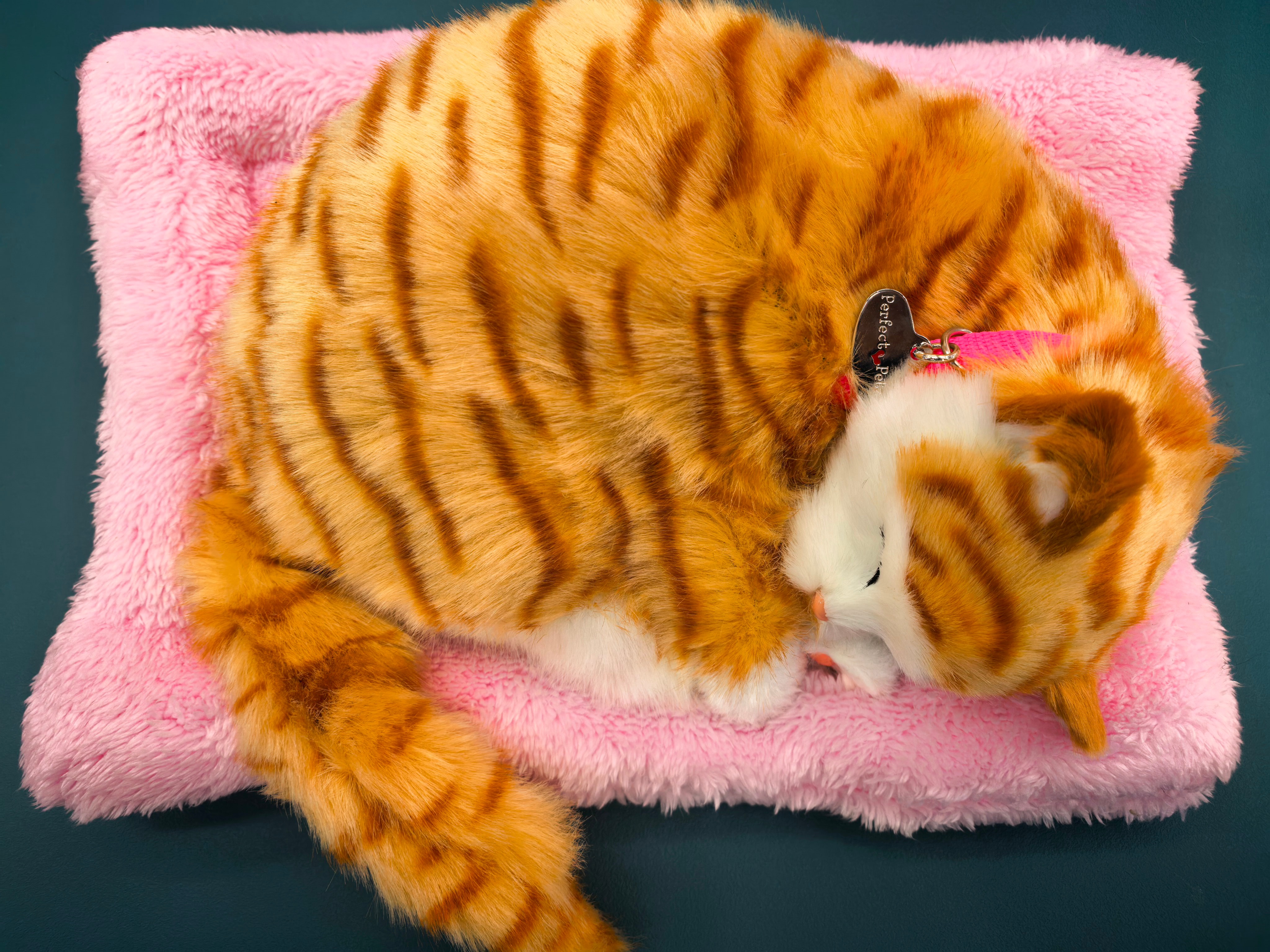 A realistic breathing, wagging tail and calling cat electric simulation pet plush toy for your girlfriend as a creative children's gift Specification image