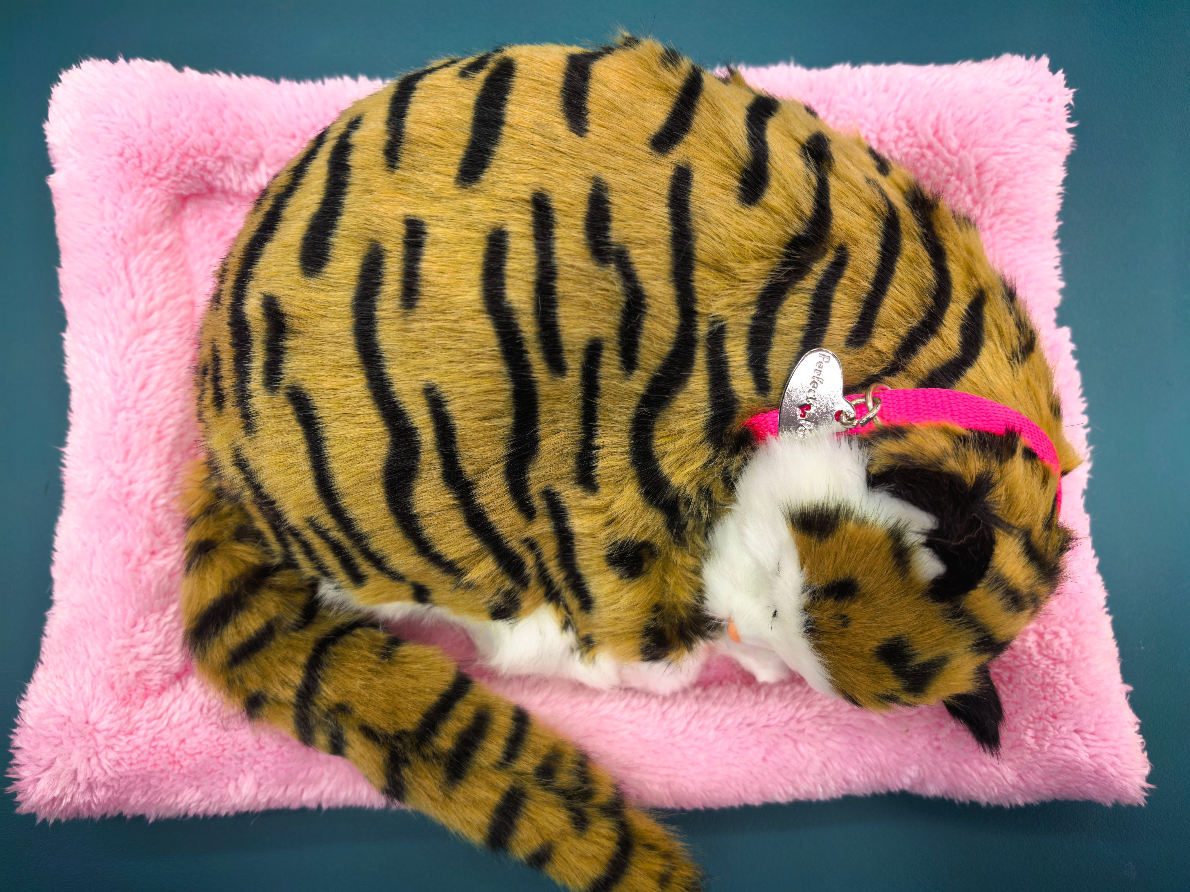 A realistic breathing, wagging tail and calling cat electric simulation pet plush toy for your girlfriend as a creative children's gift details Picture
