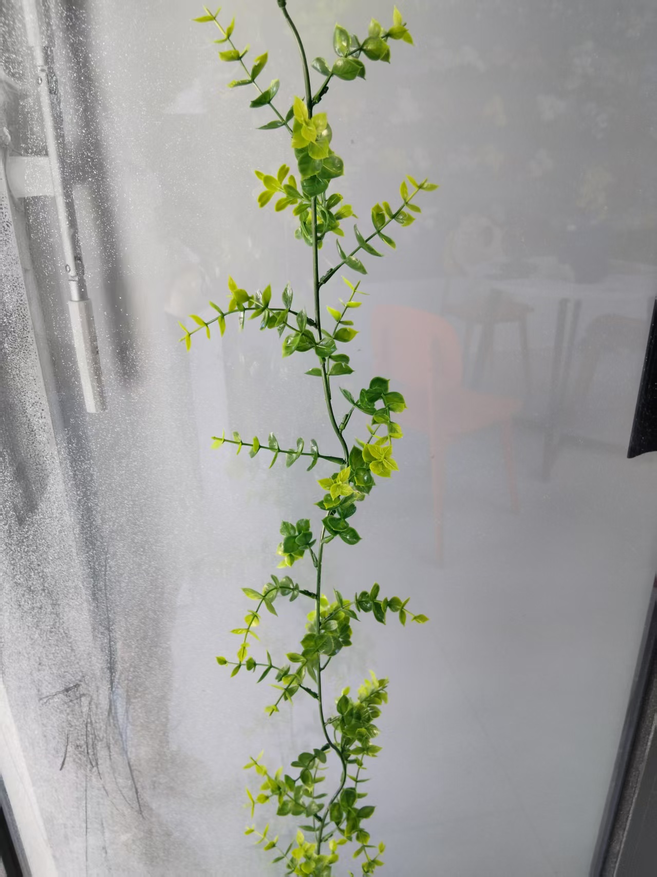 Simulated 72-mesh three-pronged eucalyptus plastic water plant vine DIY decoration craft, plastic water plant green plant flower vine hanging, simulated vine flower branch accessories, natural decoration details Picture