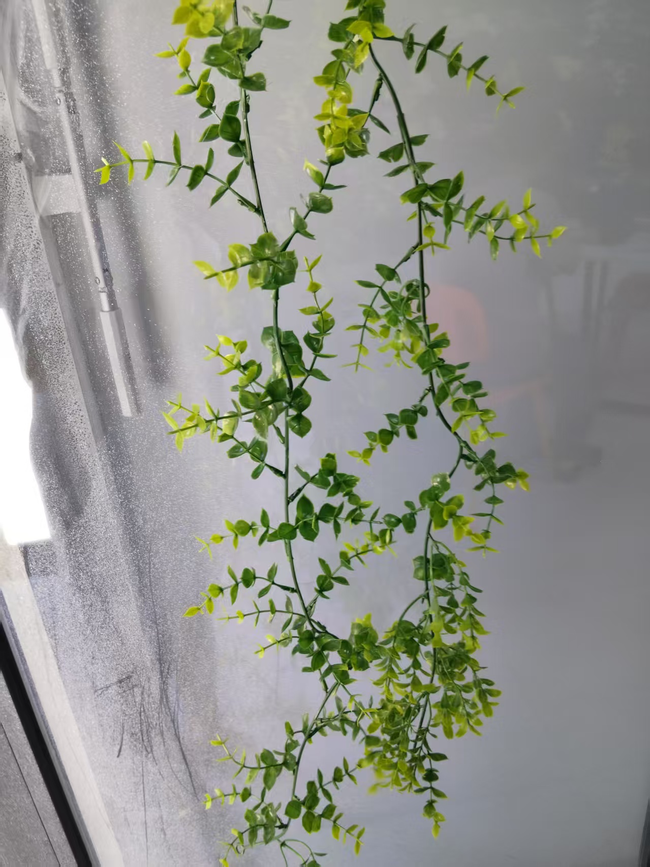 仿真72目三叉尤加利塑料水草藤条DIY装饰工艺塑料水草绿植花藤吊仿真藤条花枝配件自然装饰