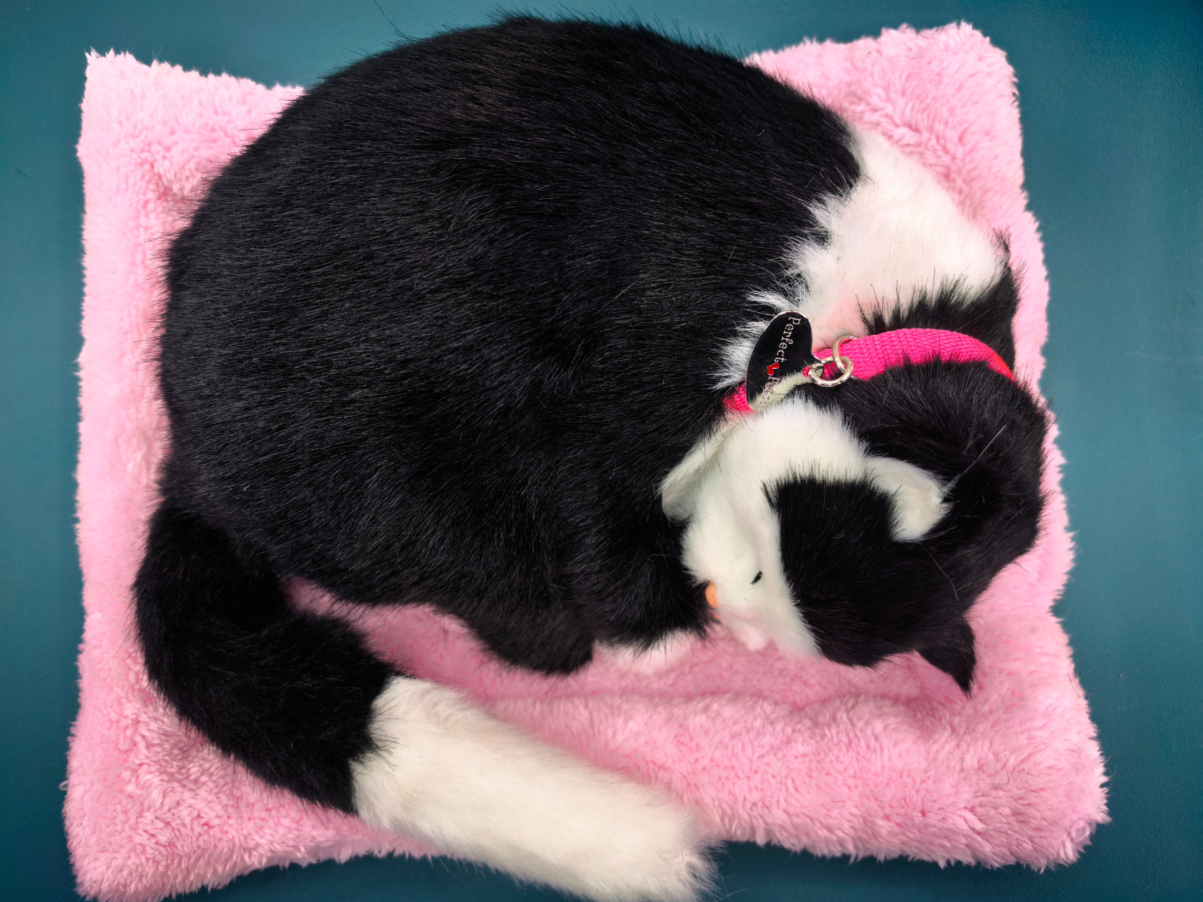 A realistic breathing, wagging tail and calling cat electric simulation pet plush toy for your girlfriend as a creative children's gift Item Picture