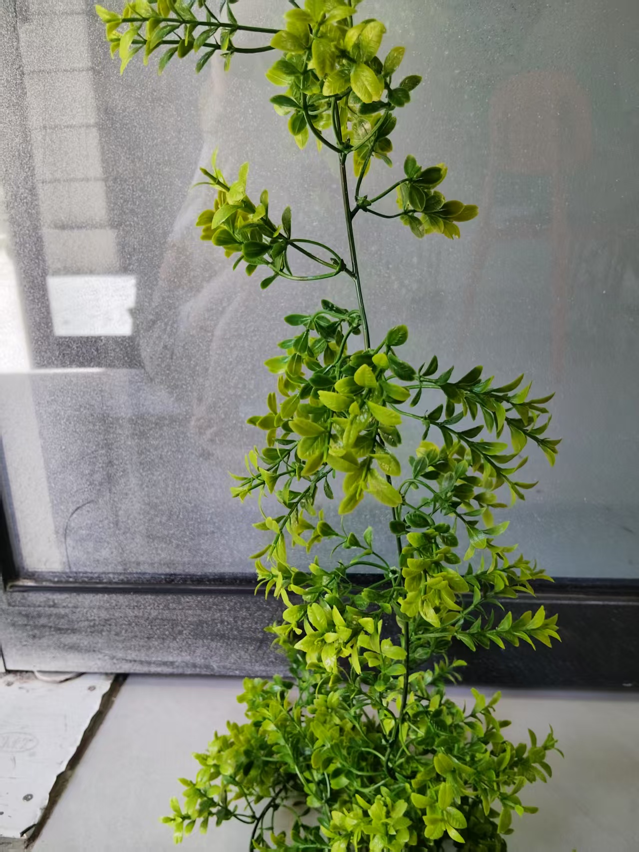 DIY decorative process of 72-mesh simulated plastic water plant vines, plastic water plant green plant flower vine hanging, simulated vine flower branch accessories, natural decoration Specification image