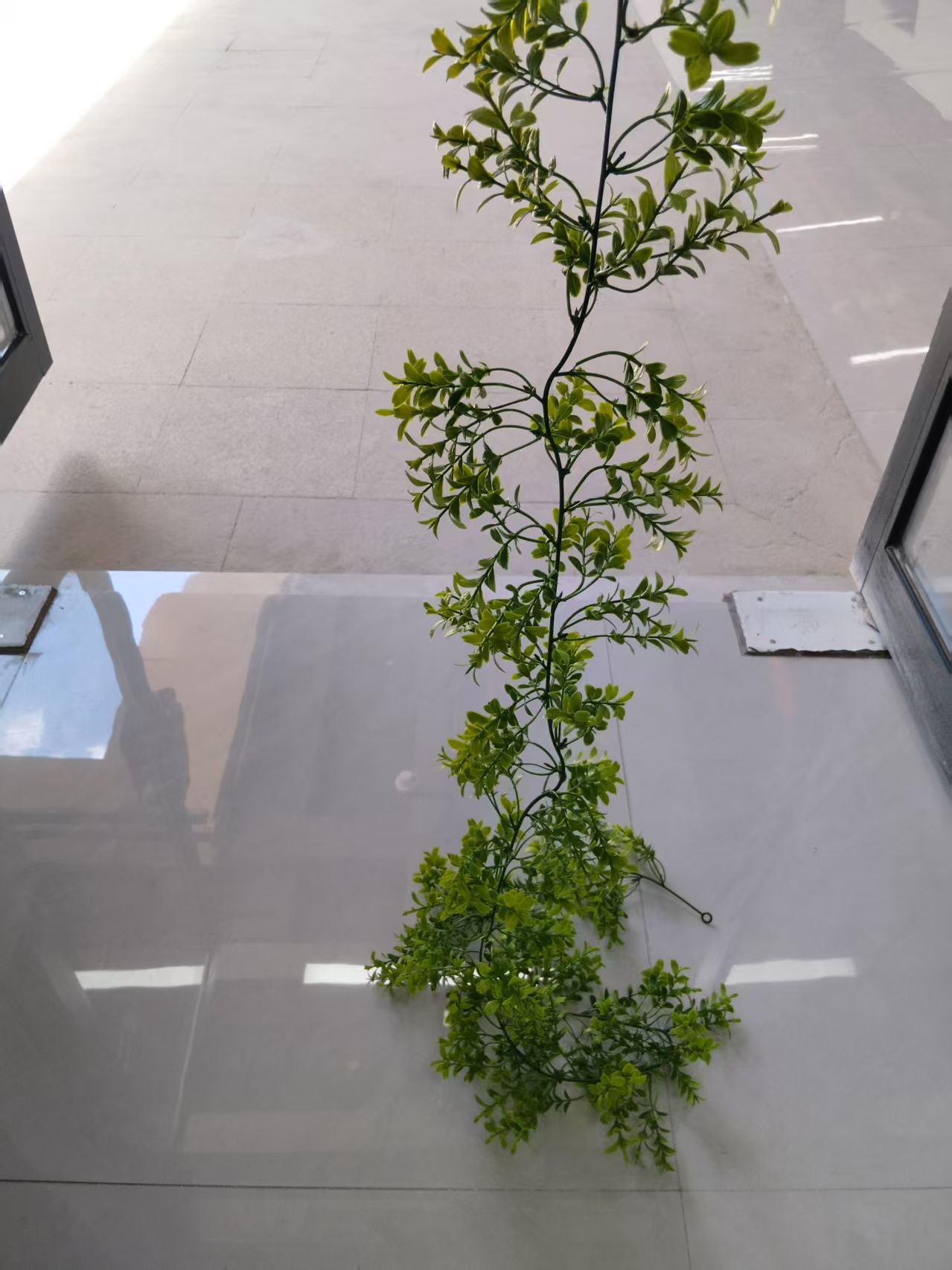 DIY decorative process of 72-mesh simulated plastic water plant vines, plastic water plant green plant flower vine hanging, simulated vine flower branch accessories, natural decoration Item Picture