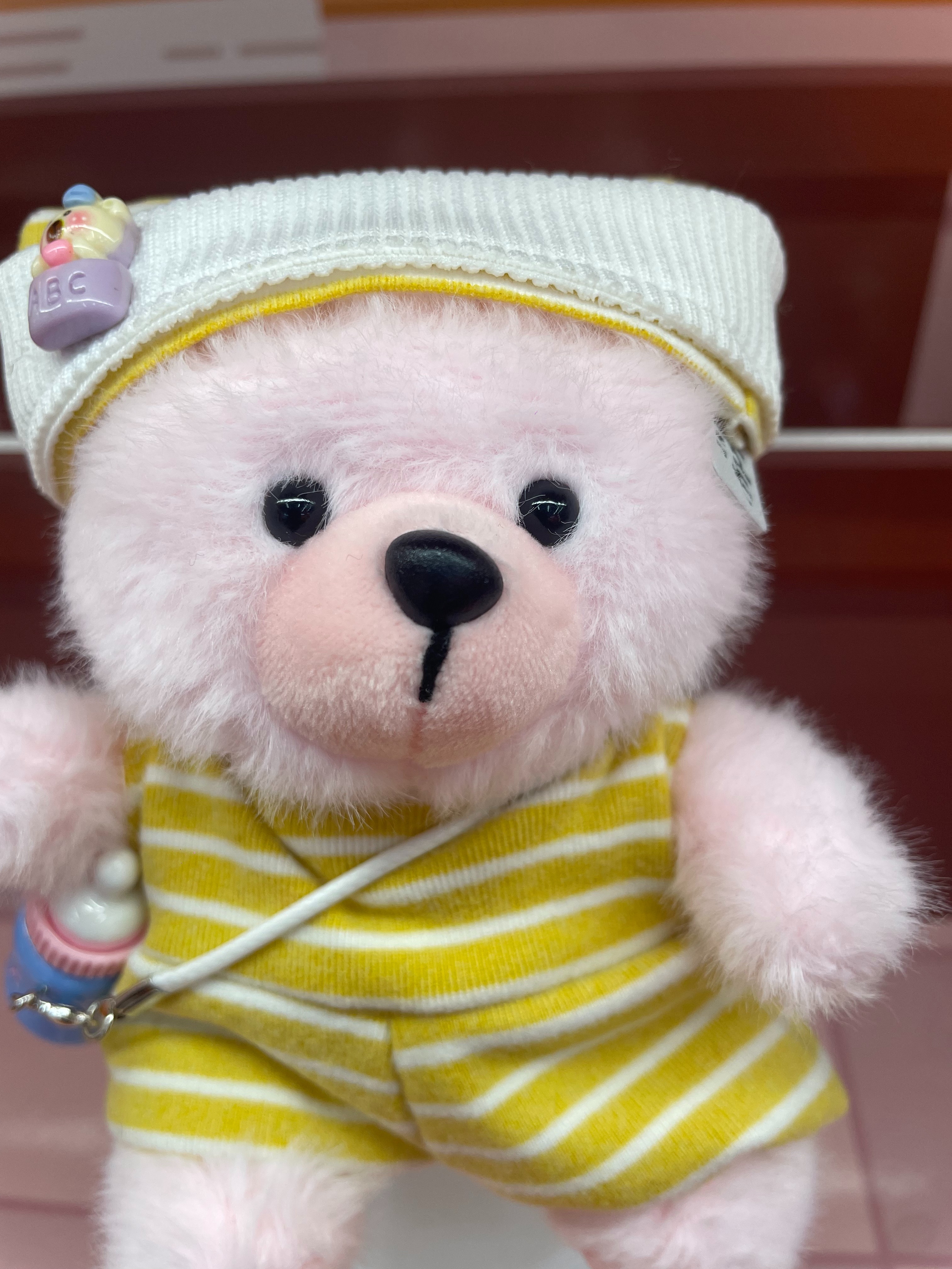 Teddy Ailan Plush Toy, Bear Doll, Plush Trinket 3 Application Scenario