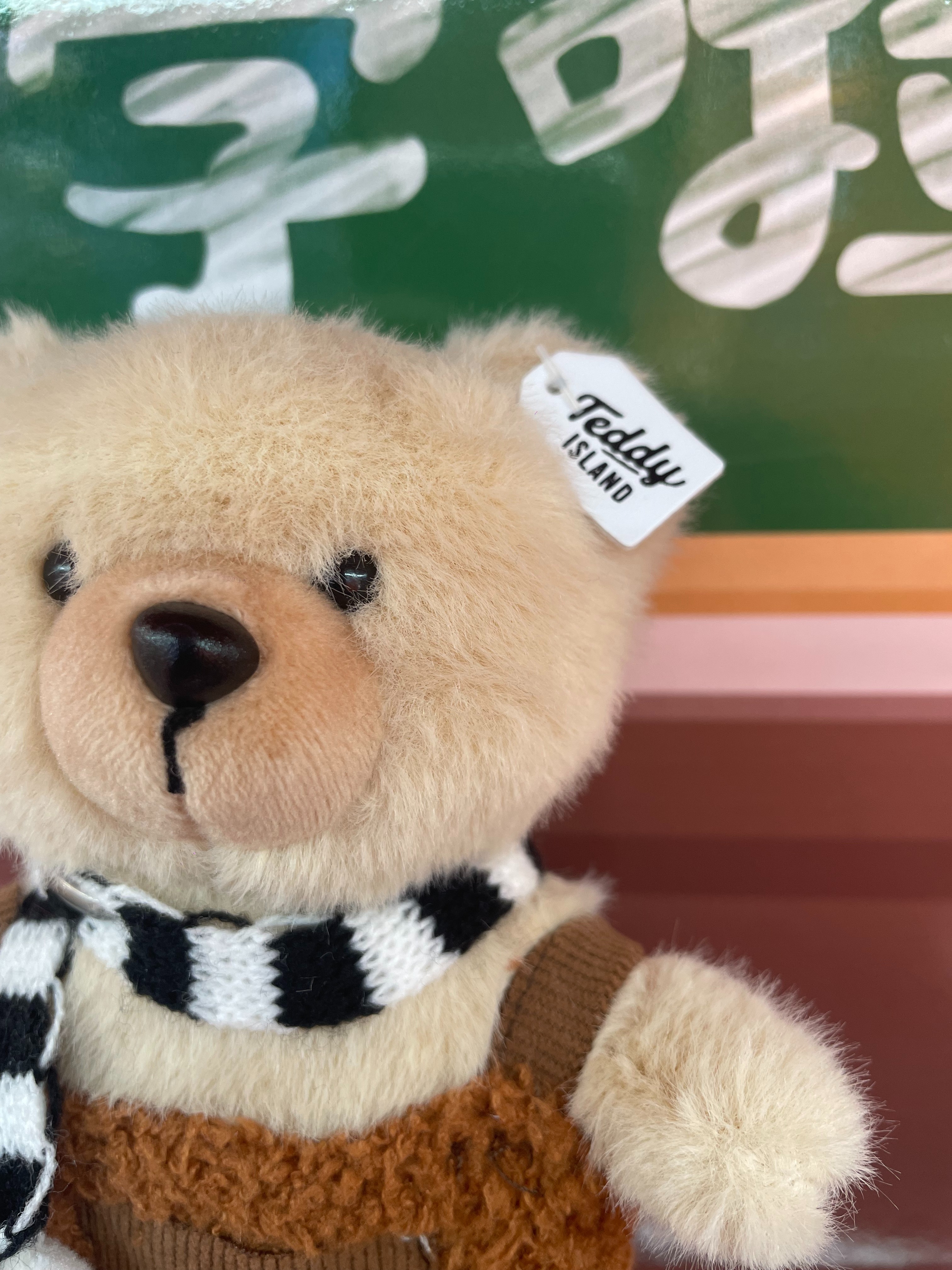 Teddy Ailan Plush Toy, Bear Doll, Plush Small Pendant 13 Application Scenario