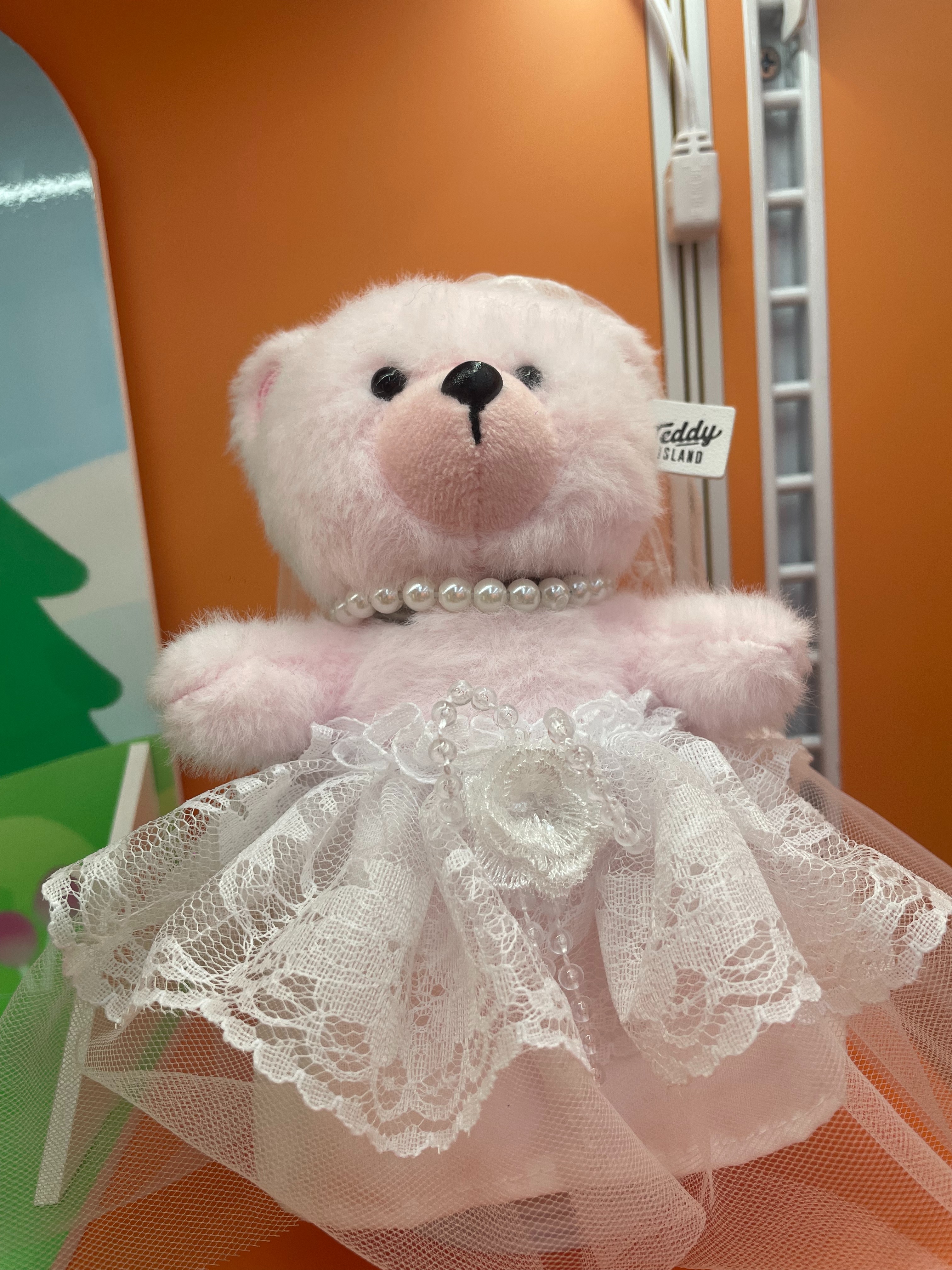 Teddy Ailan Plush Toy, Bear Doll, Plush Small Pendant 7 details Picture