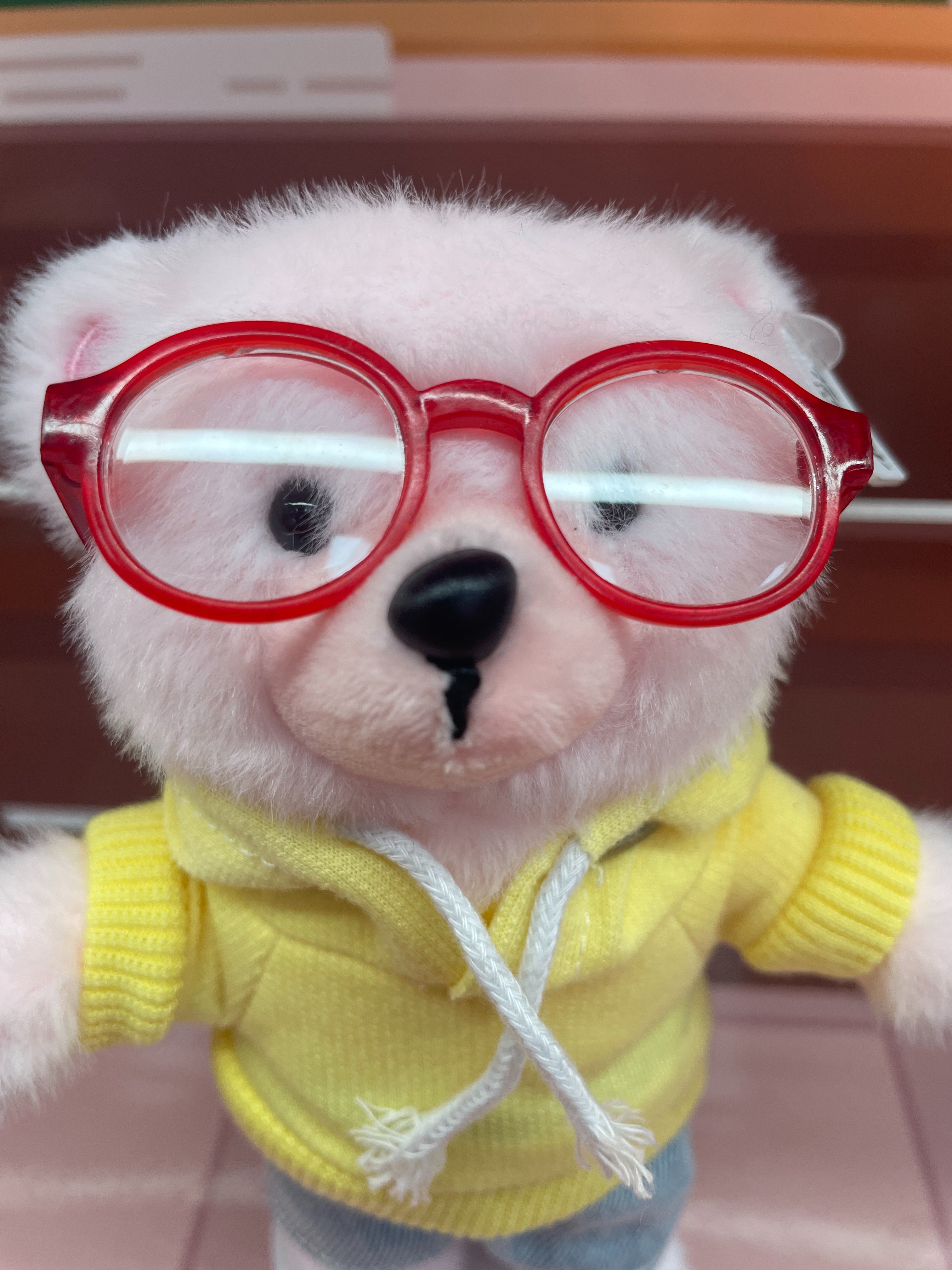 Teddy Ailan Plush Toy, Bear Doll, Plush Small Pendant 5 Specification drawing