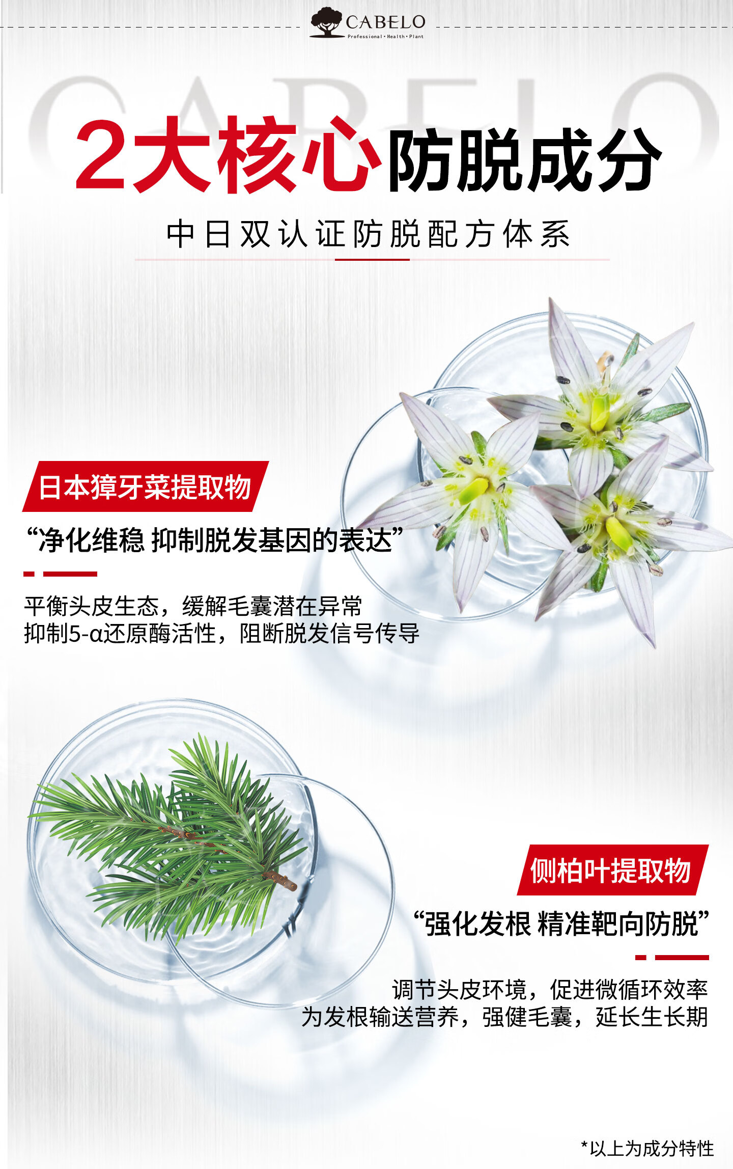 卡蓓诺（CABELO）日本进口 防脱发强韧洗发水350ml 强根固发详情7